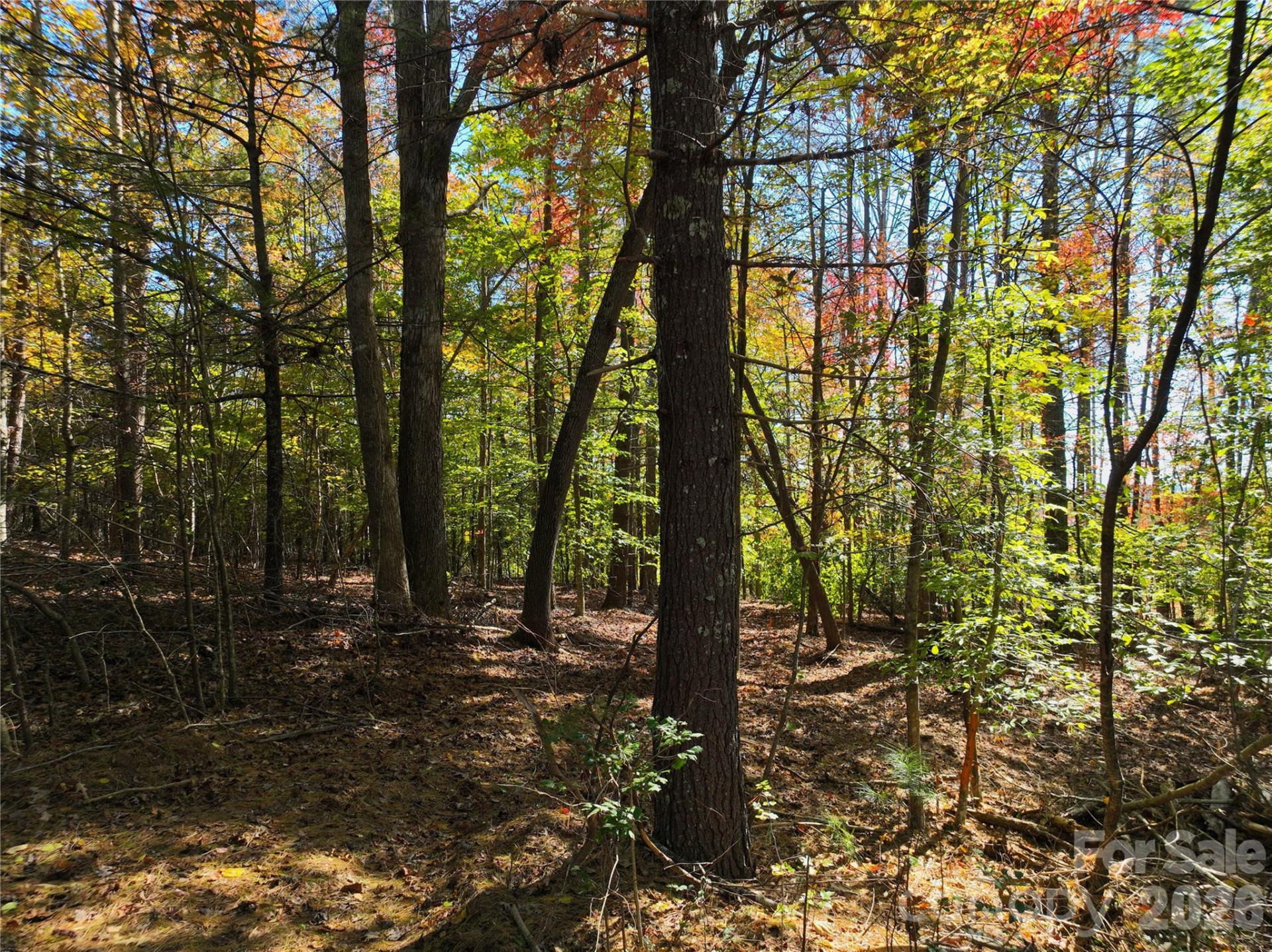 2800 Snipes Street #3 - Photo 33