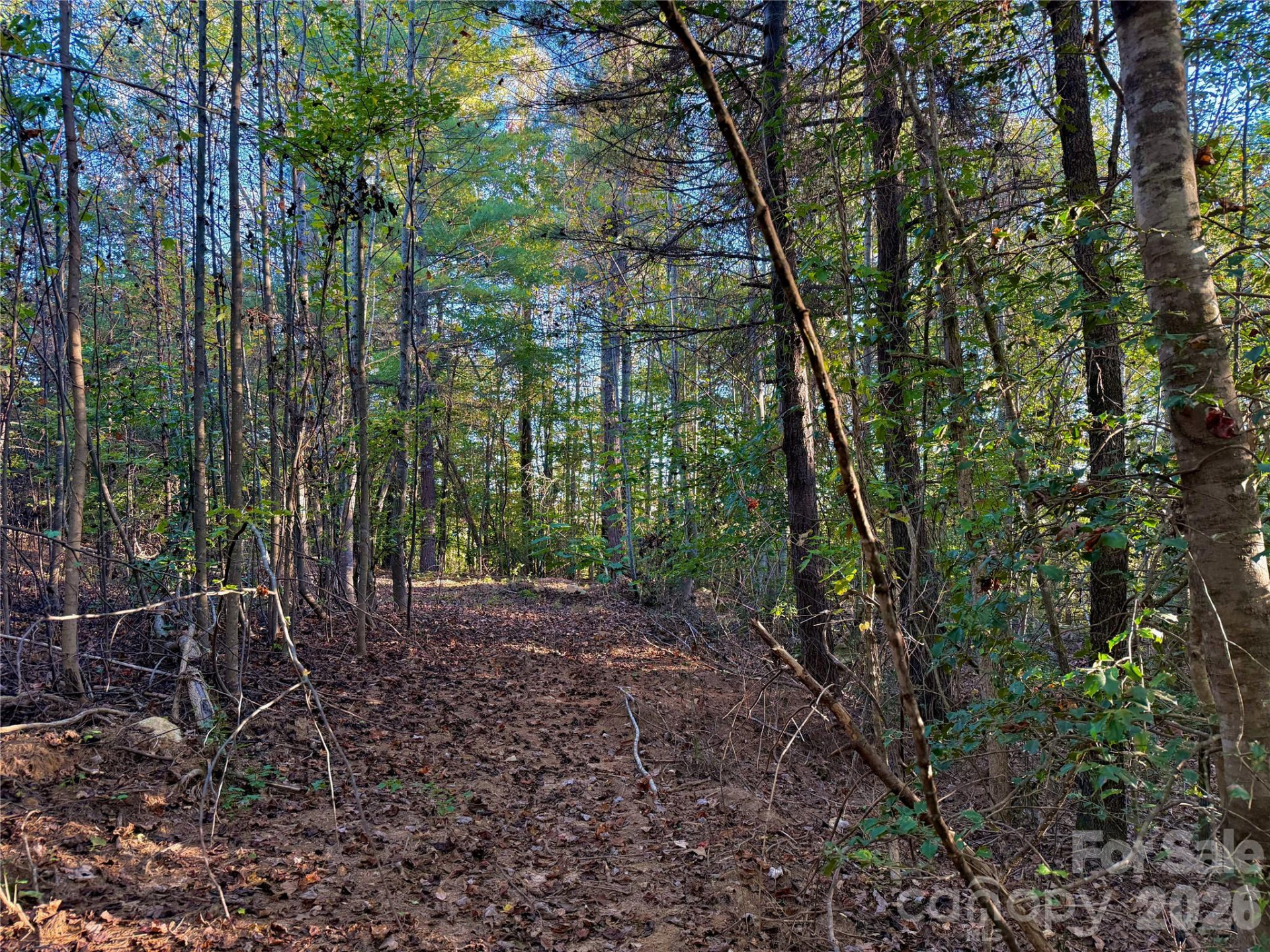 2800 Snipes Street #3 - Photo 35