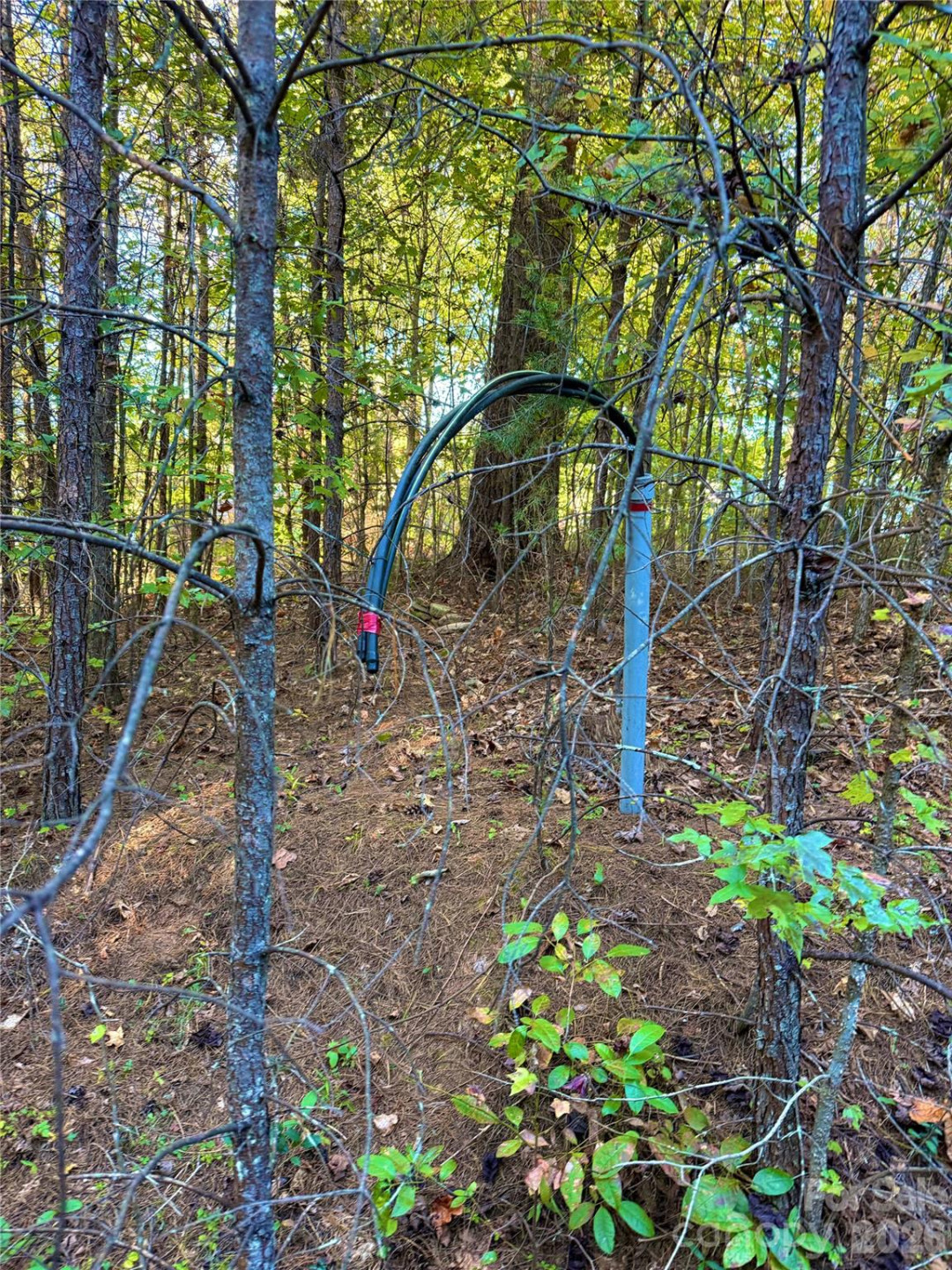 2800 Snipes Street #3 - Photo 39