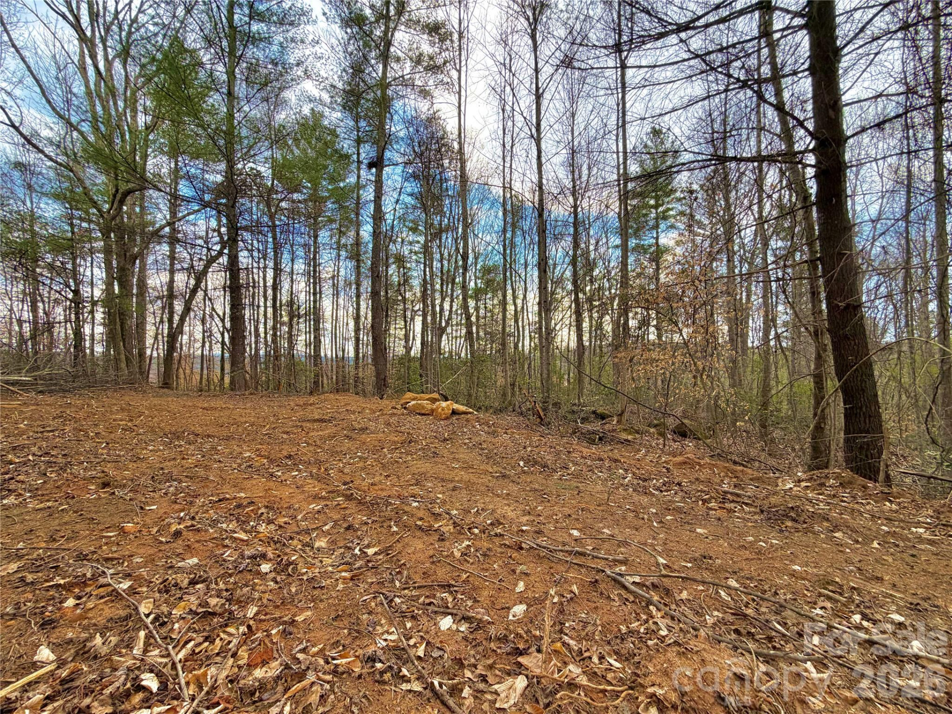 2800 Snipes Street #3 - Photo 5