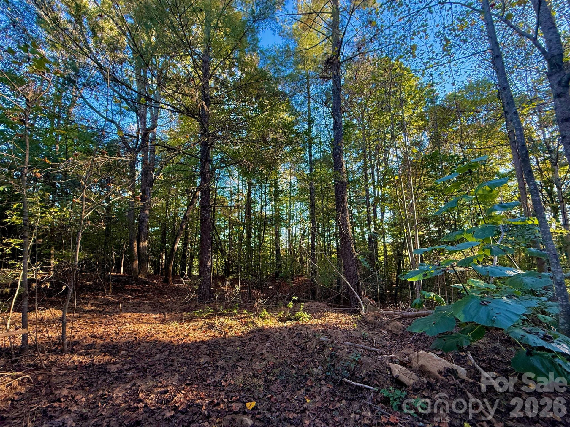 2800 Snipes Street #3 - Photo 41