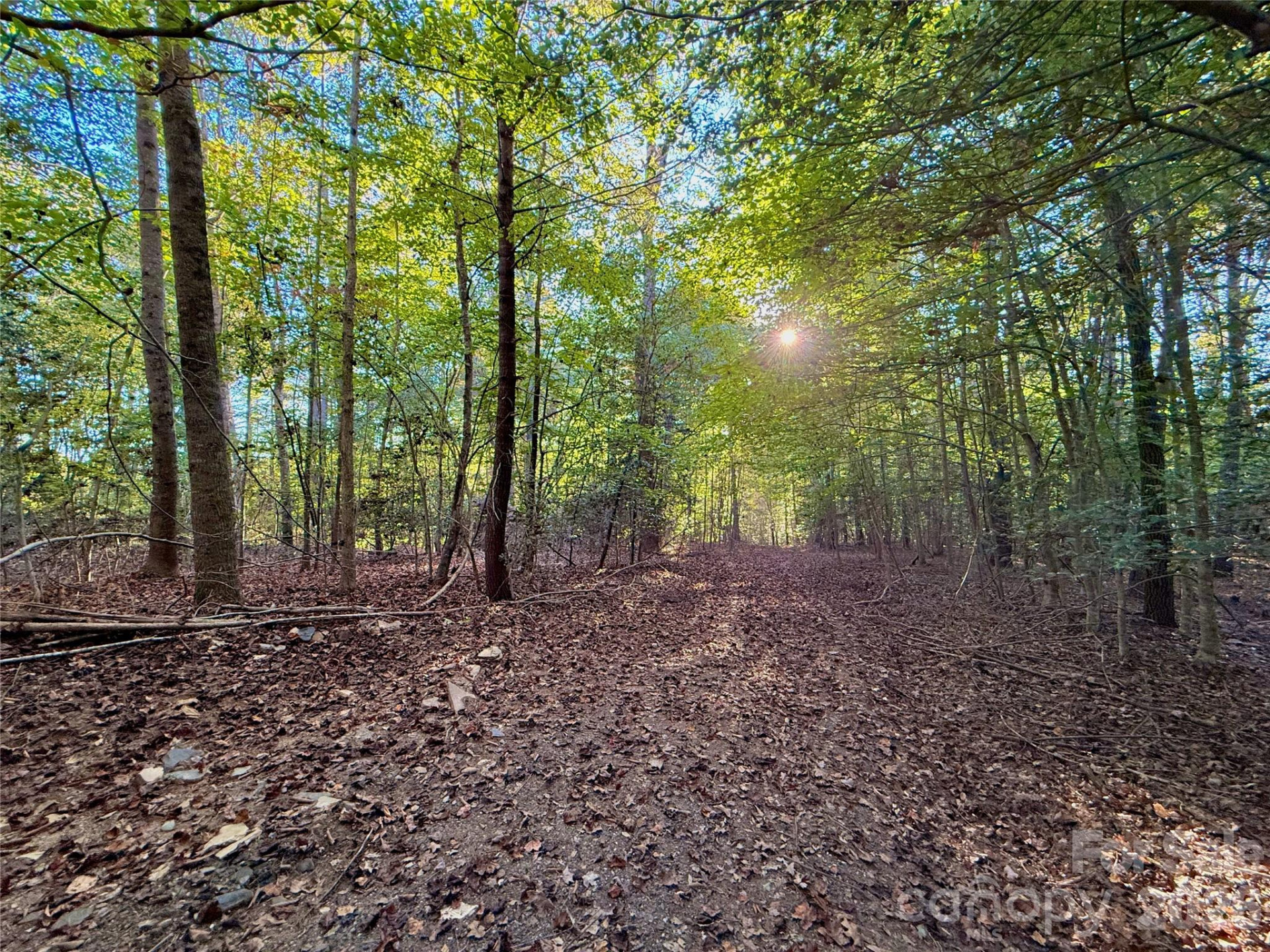 2800 Snipes Street #3 - Photo 43