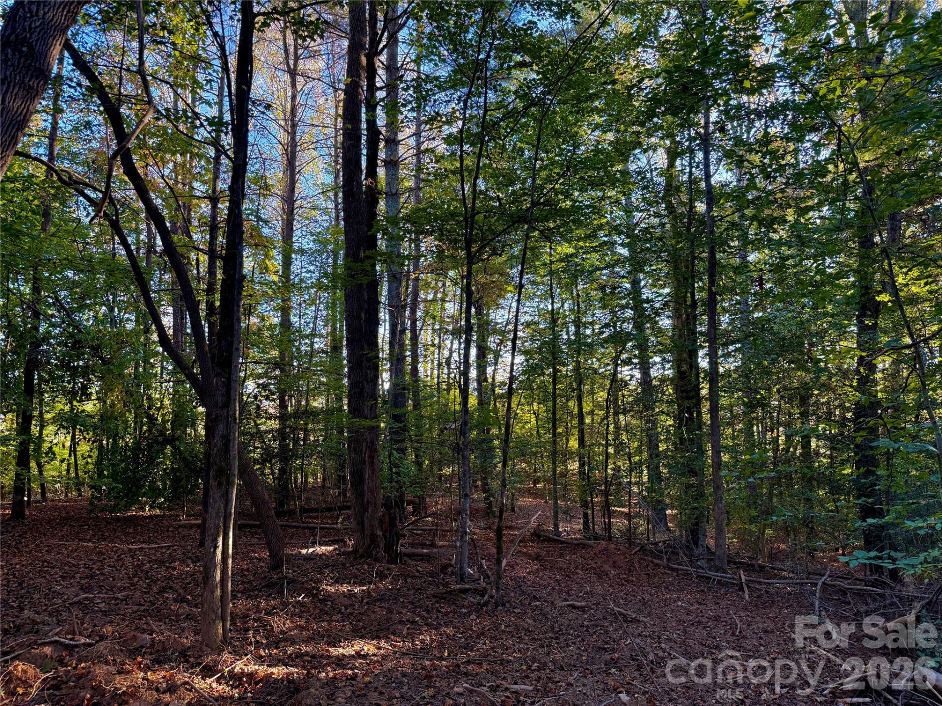 2800 Snipes Street #3 - Photo 45