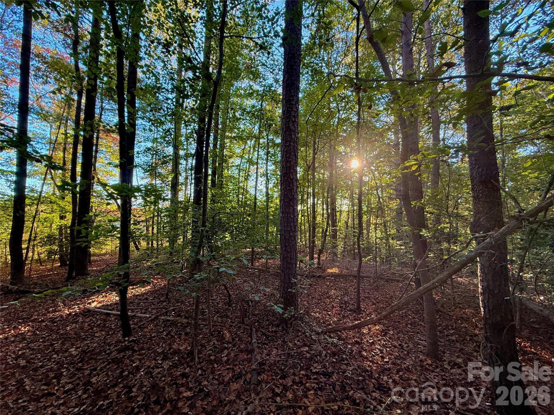 2800 Snipes Street #3 - Photo 46