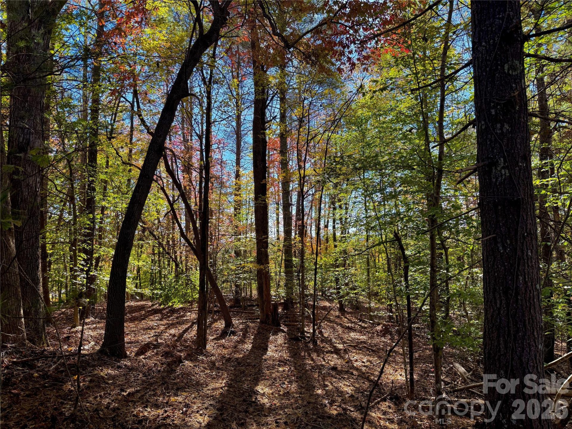 2800 Snipes Street #3 - Photo 47