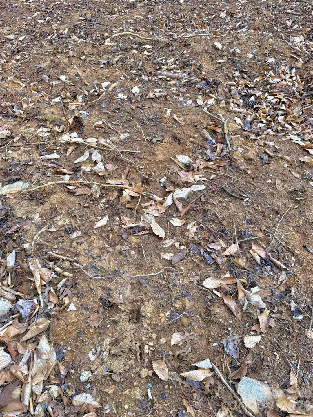 2800 Snipes Street #3 - Photo 49