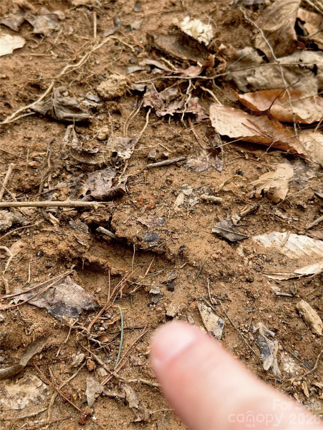 2800 Snipes Street #3 - Photo 50