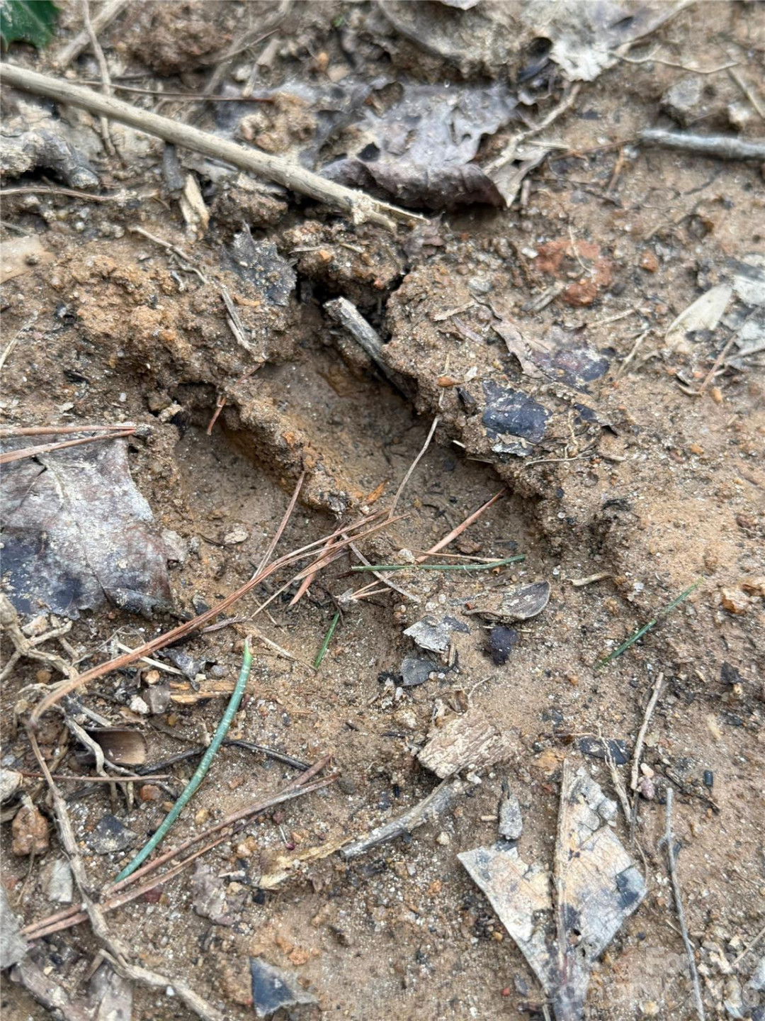 2800 Snipes Street #3 - Photo 51