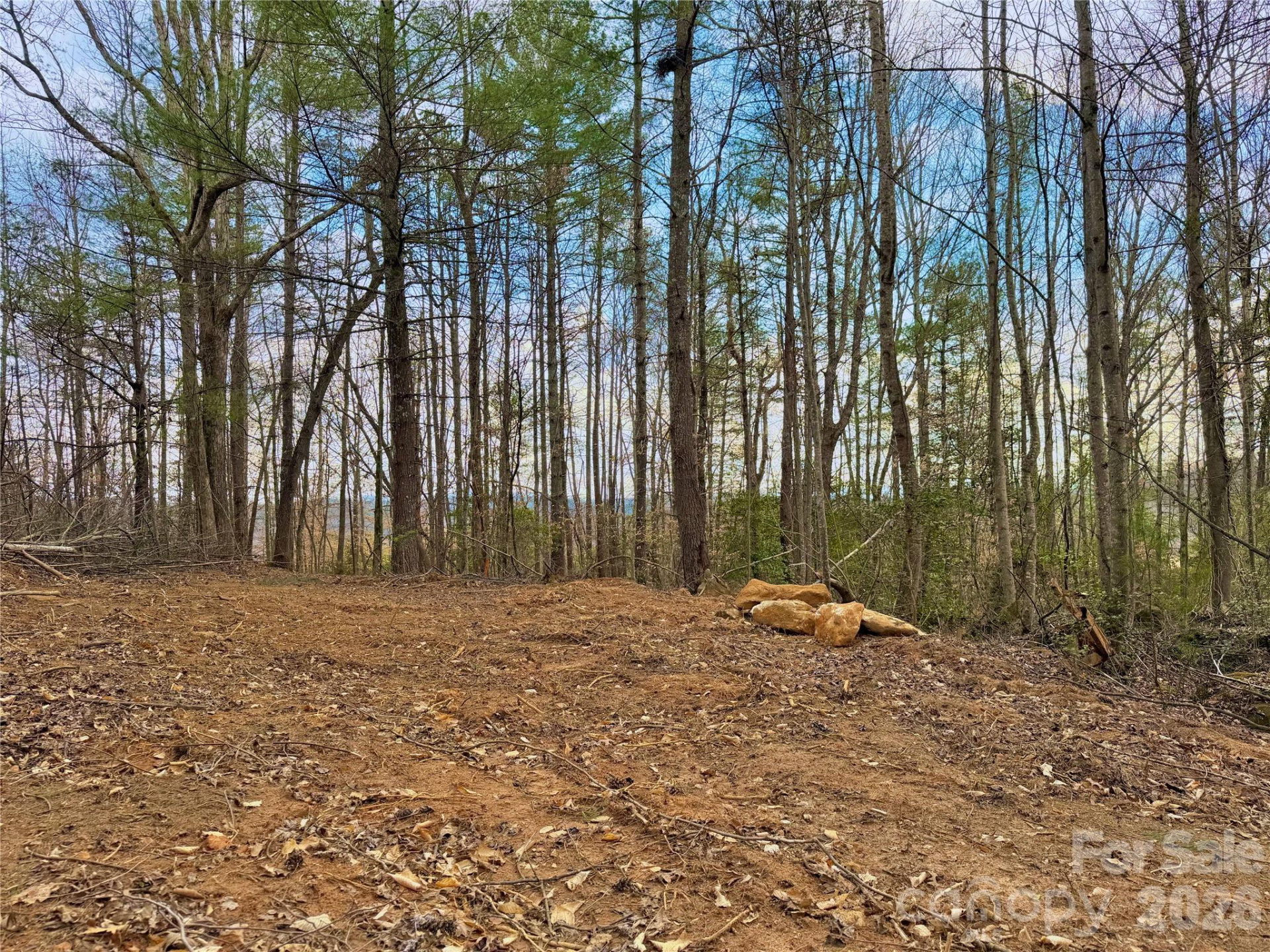 2800 Snipes Street #3 - Photo 7