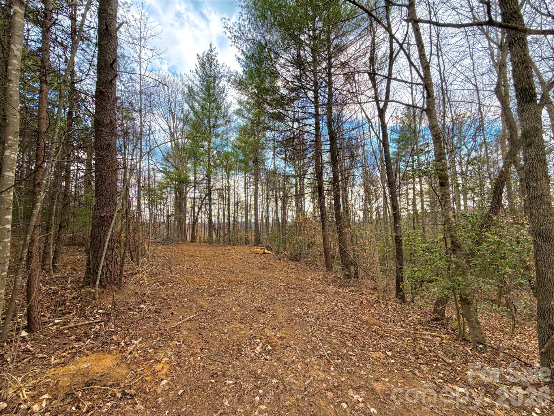 2800 Snipes Street #3 - Photo 52