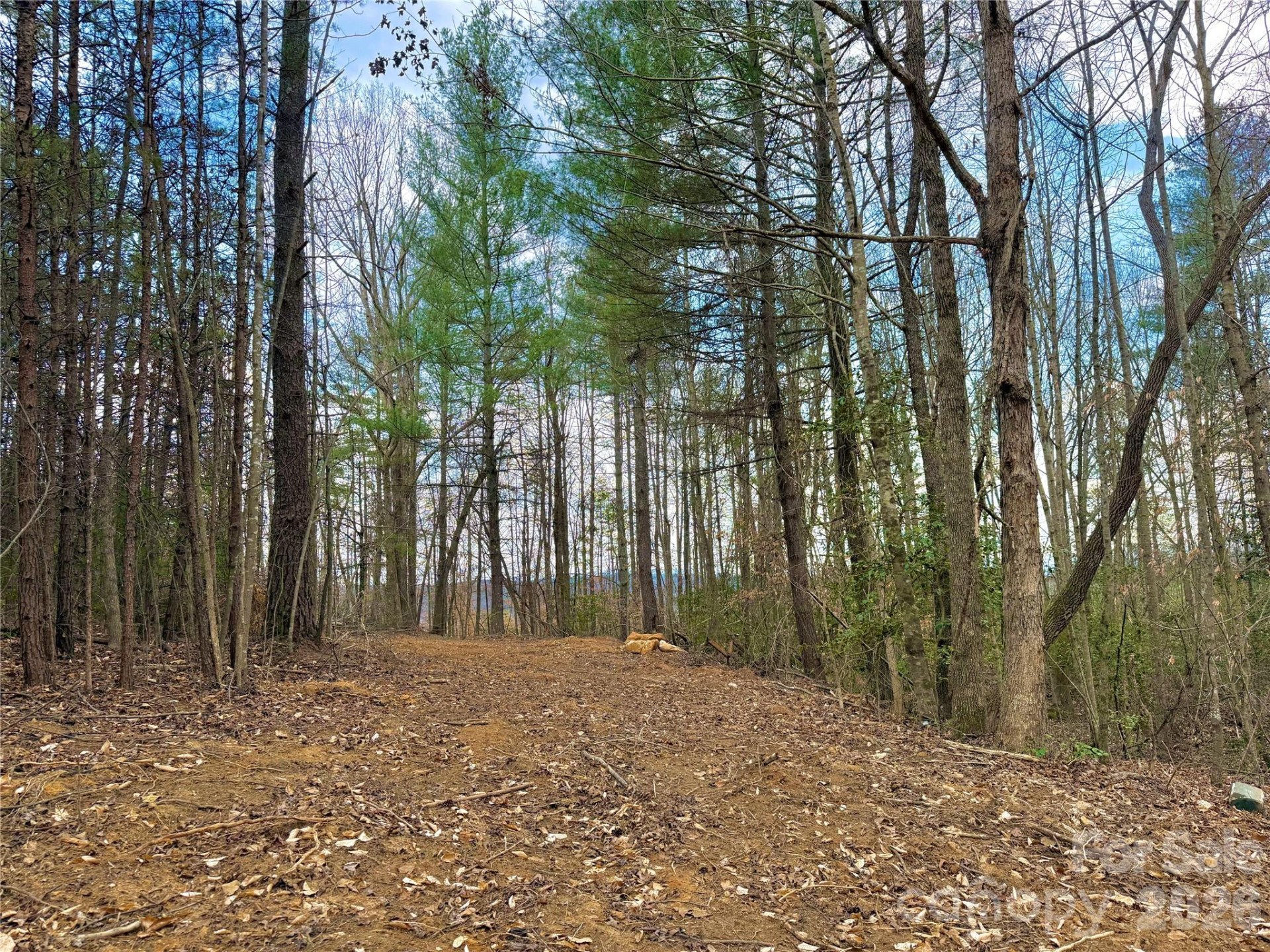 2800 Snipes Street #3 - Photo 53