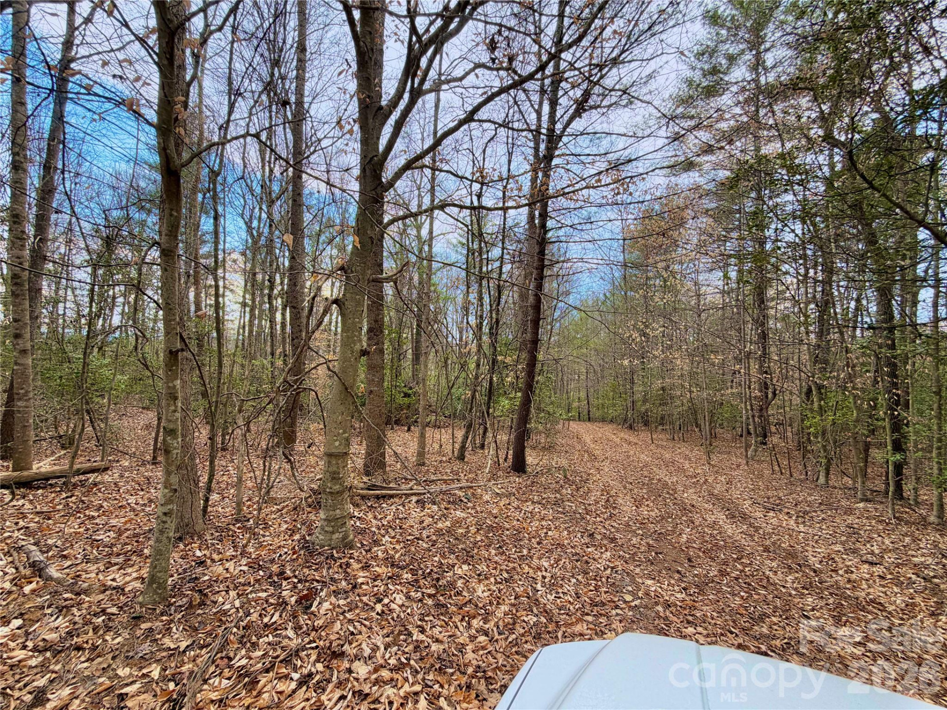 2800 Snipes Street #3 - Photo 11