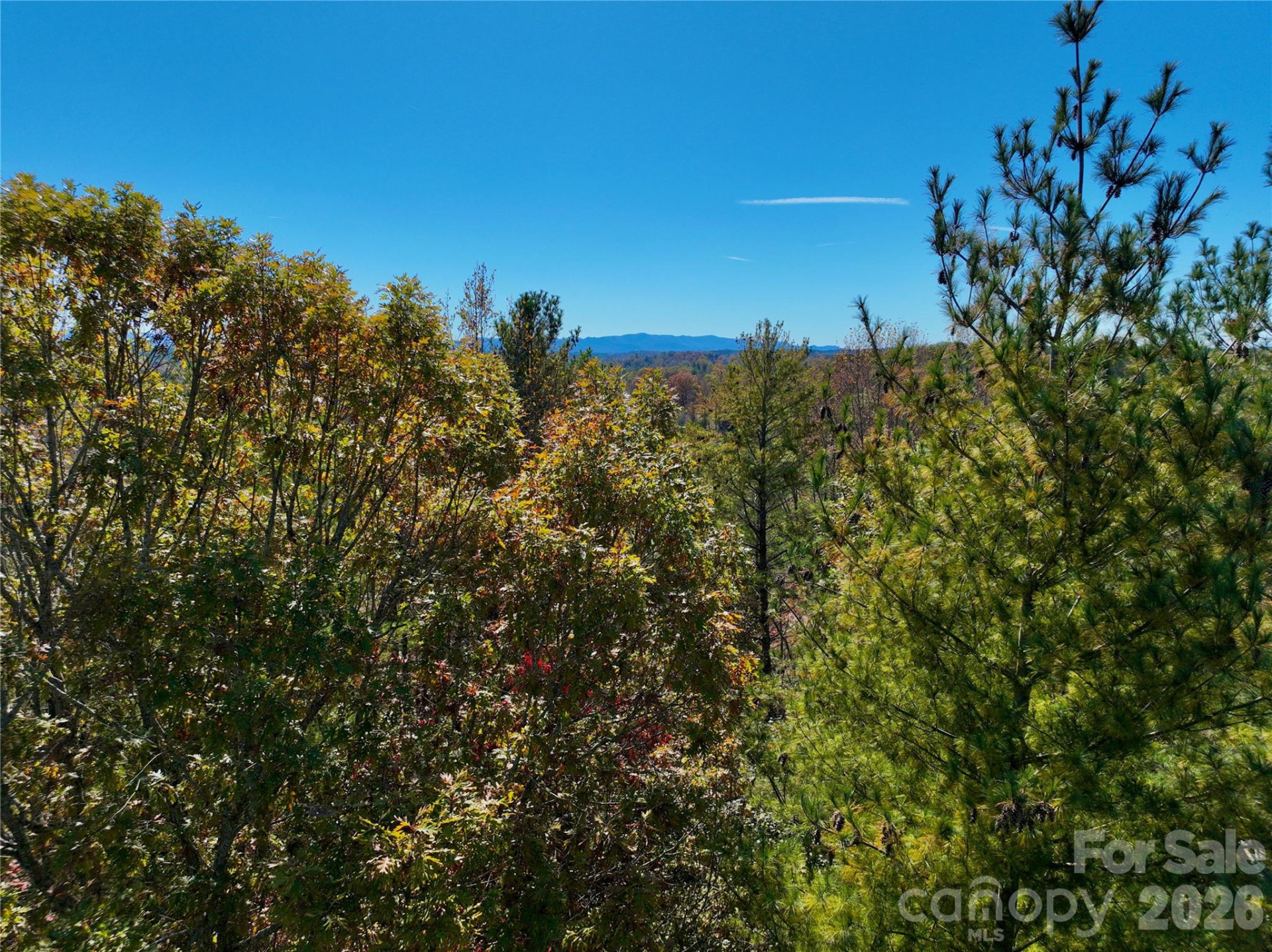 2800 Snipes Street #3 - Photo 13