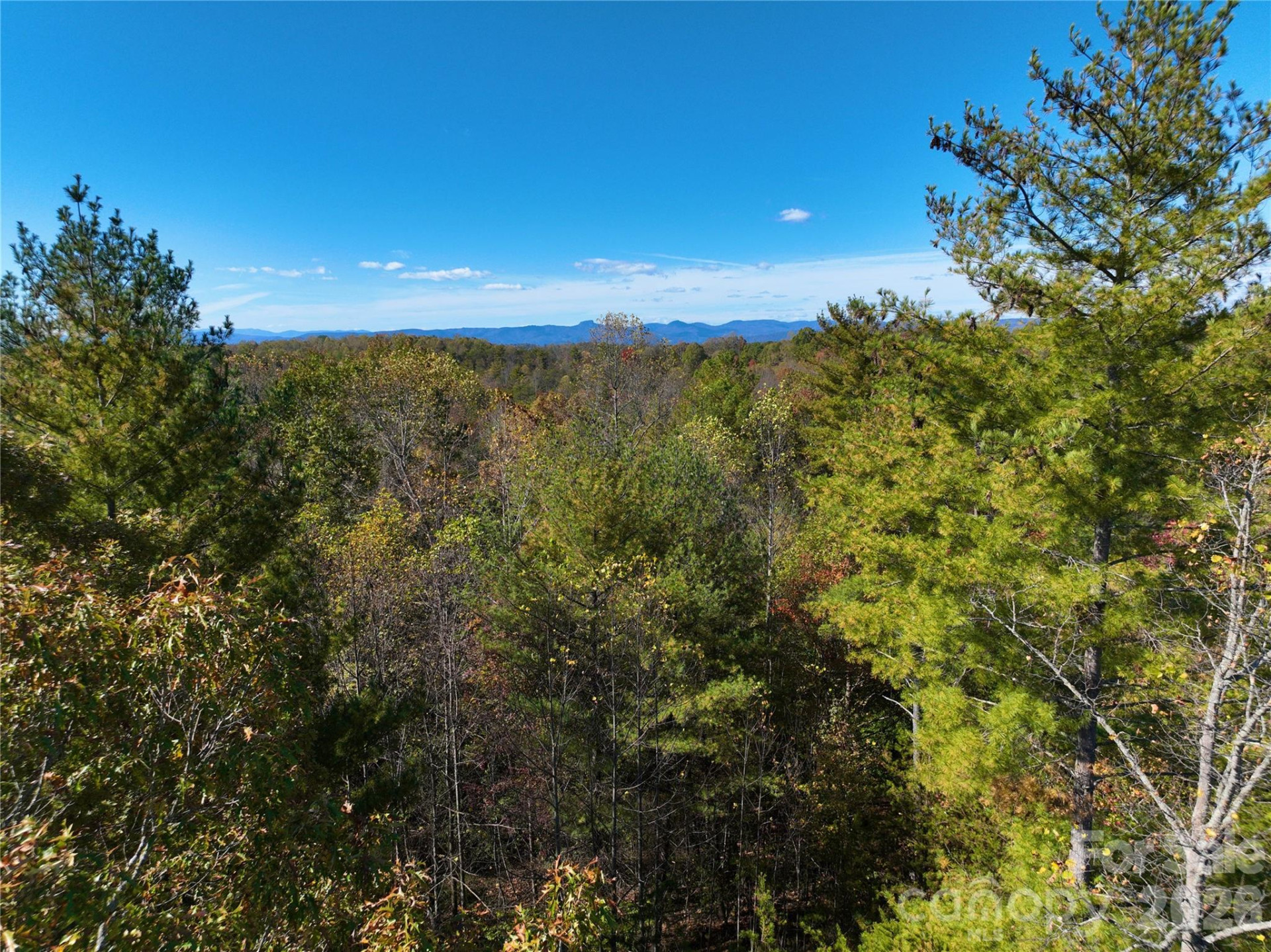 2800 Snipes Street #3 - Photo 15