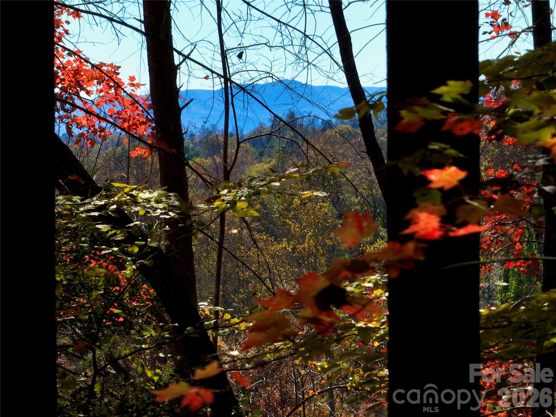 2800 Snipes Street #3 - Photo 17