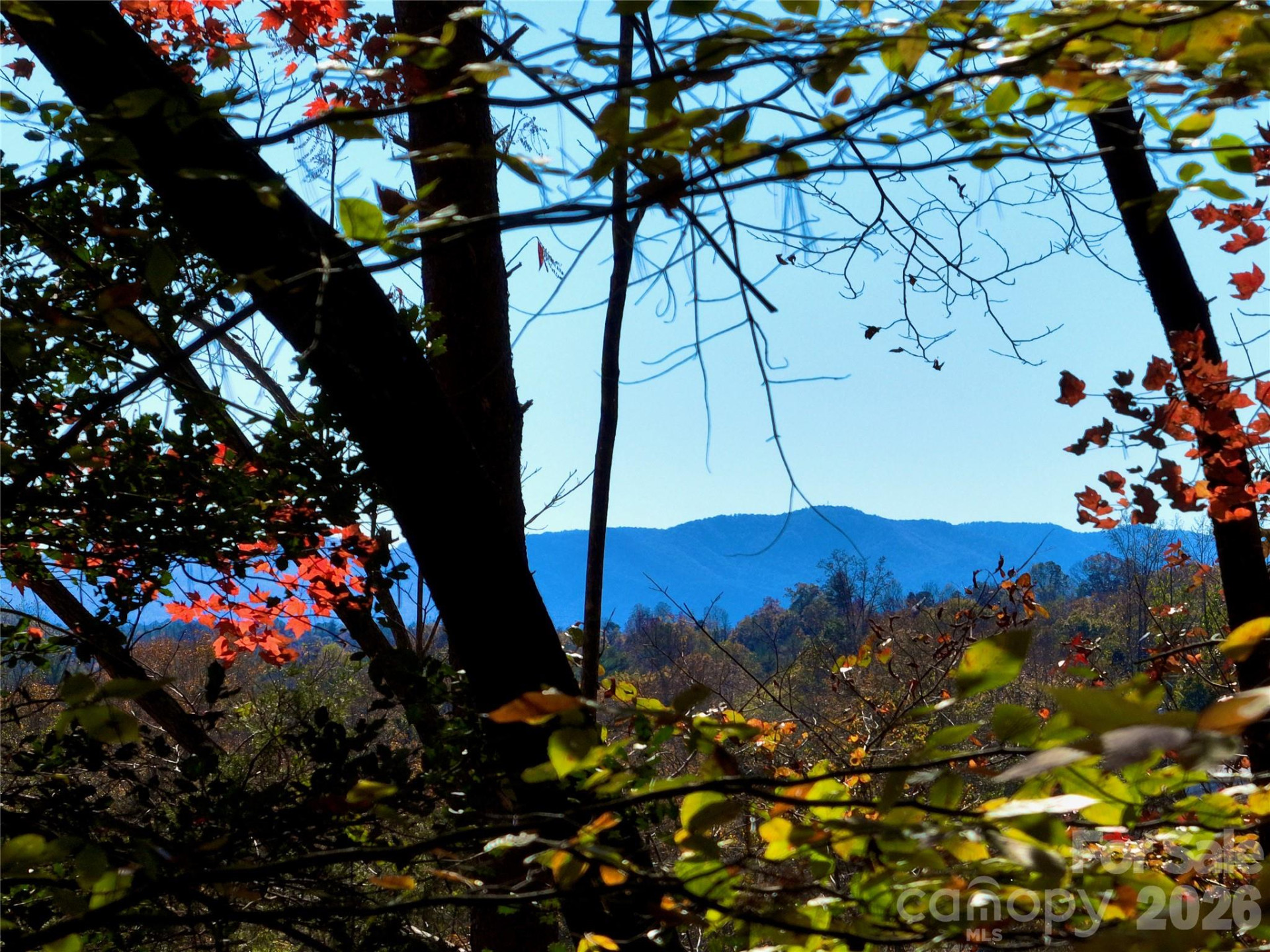 2800 Snipes Street #3 - Photo 19