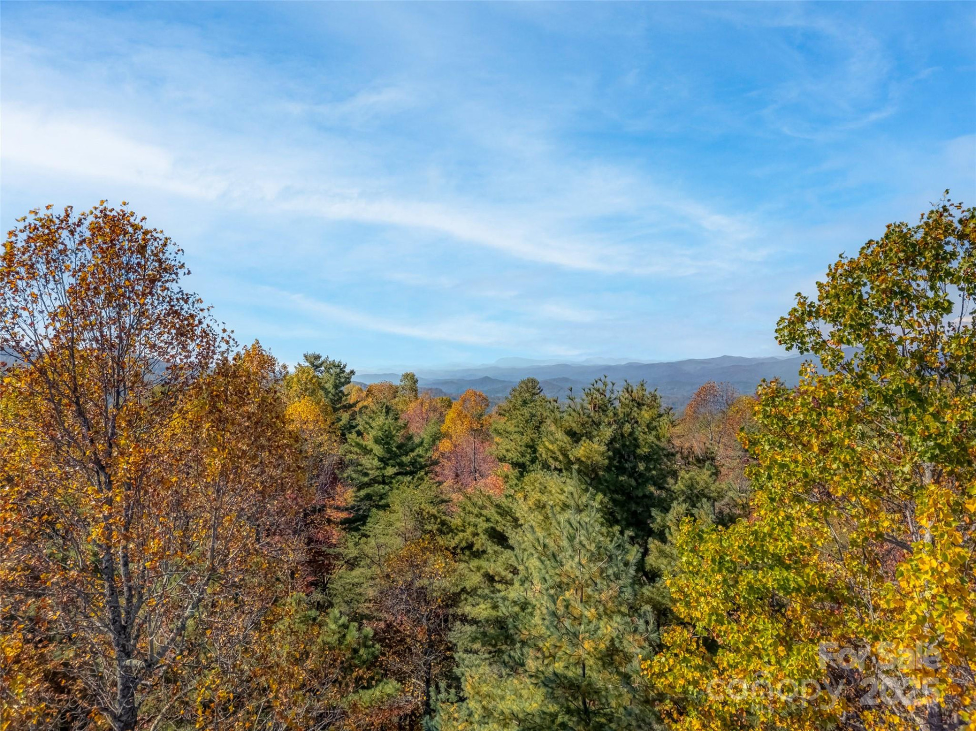 3314 Reserve Road - Photo 2