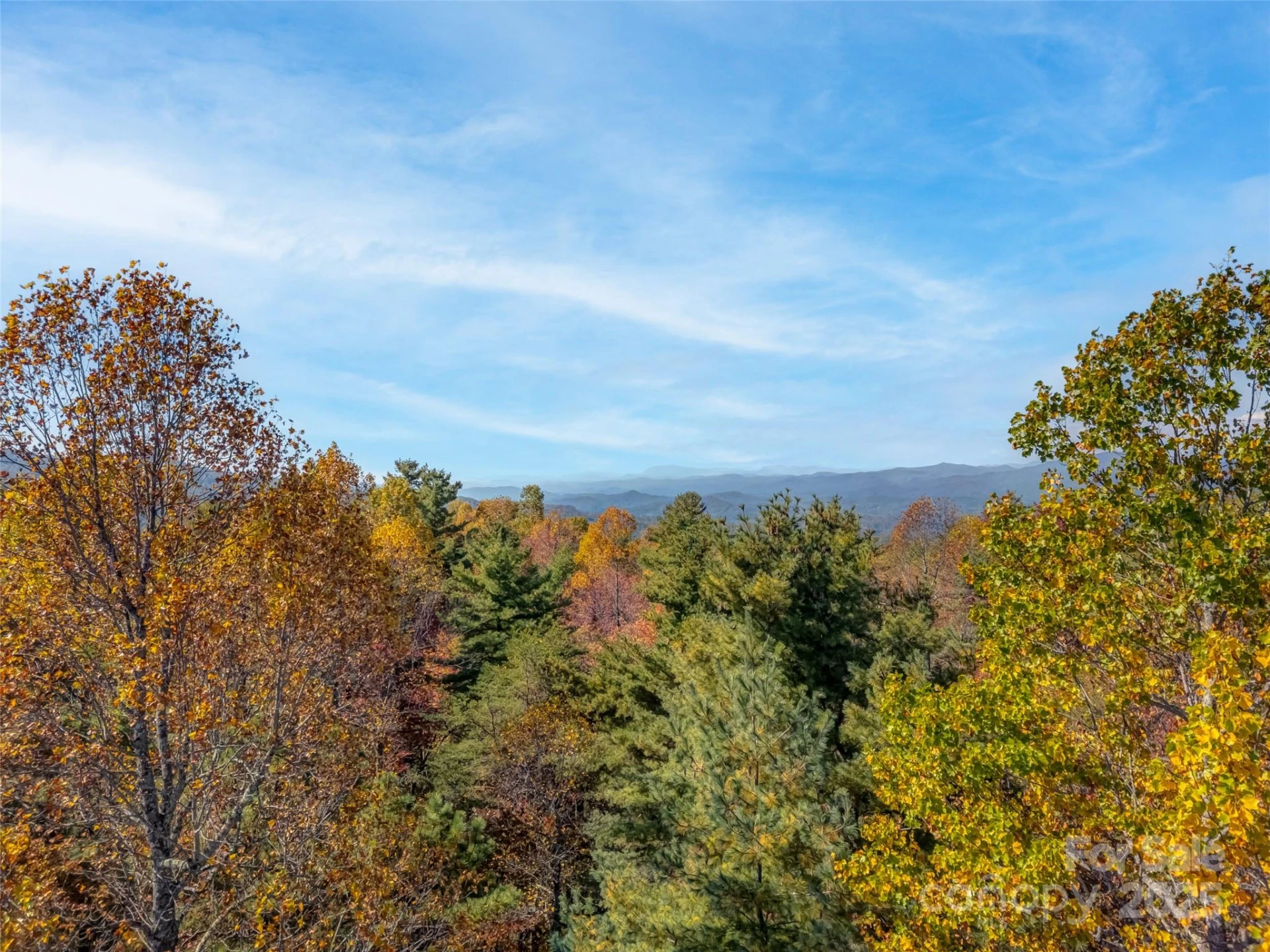 3314 Reserve Road - Photo 2