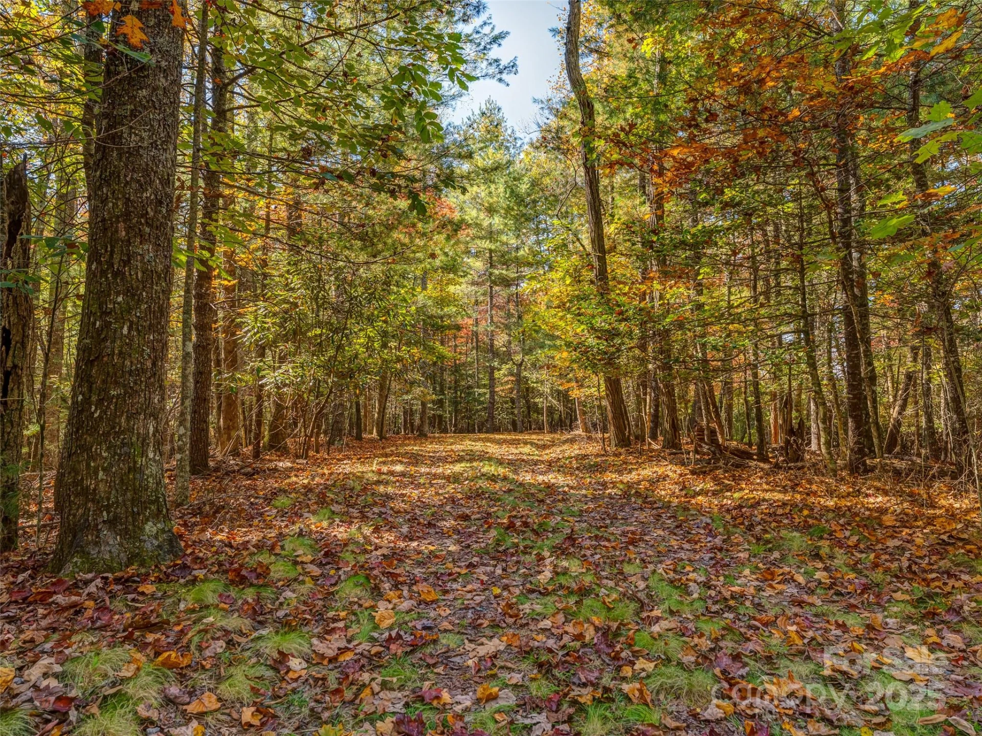 3314 Reserve Road - Photo 11