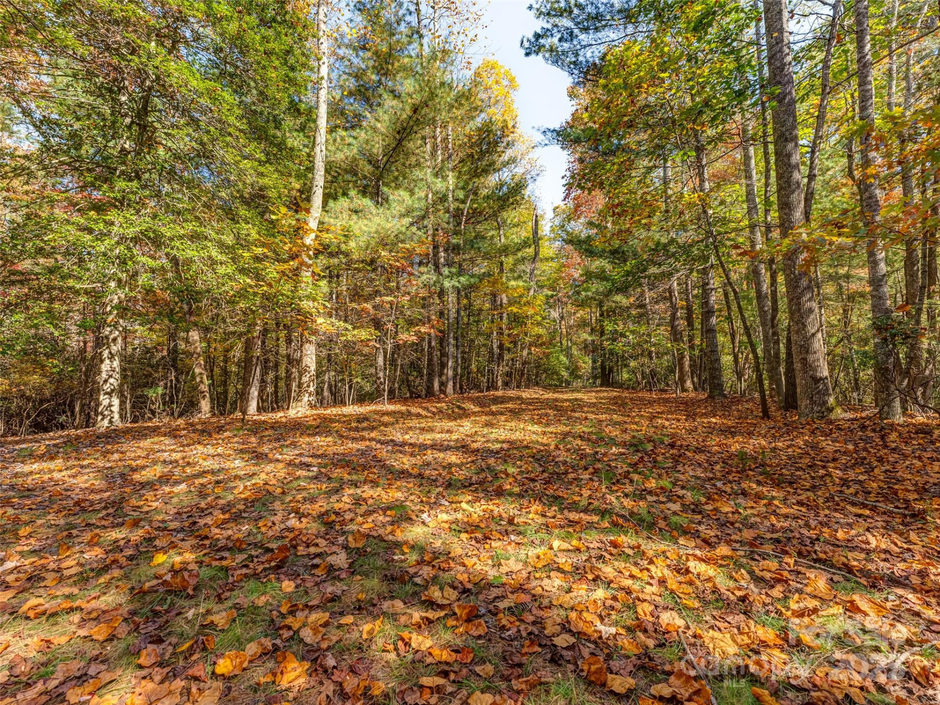 3314 Reserve Road - Photo 13
