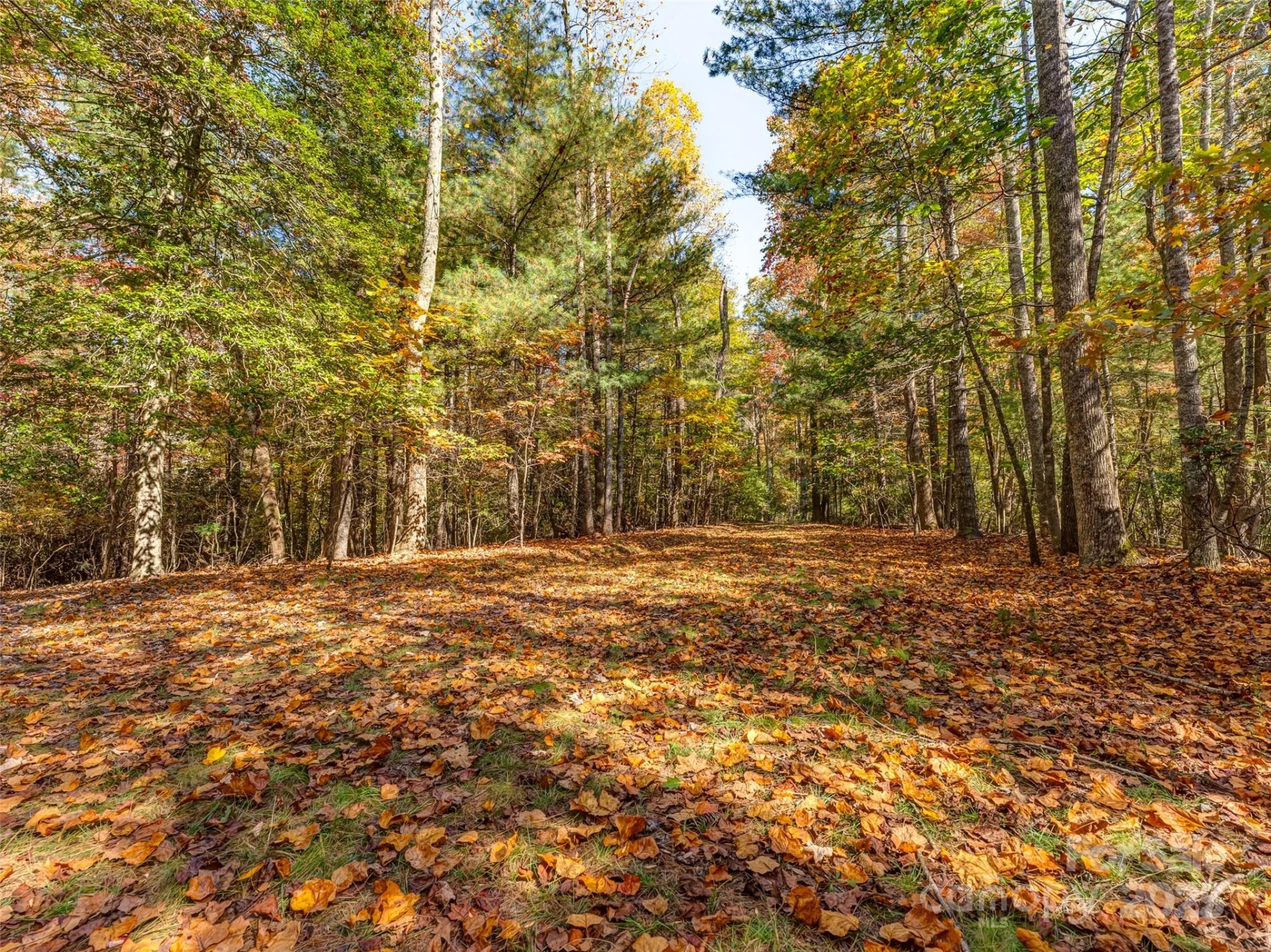 3314 Reserve Road - Photo 13