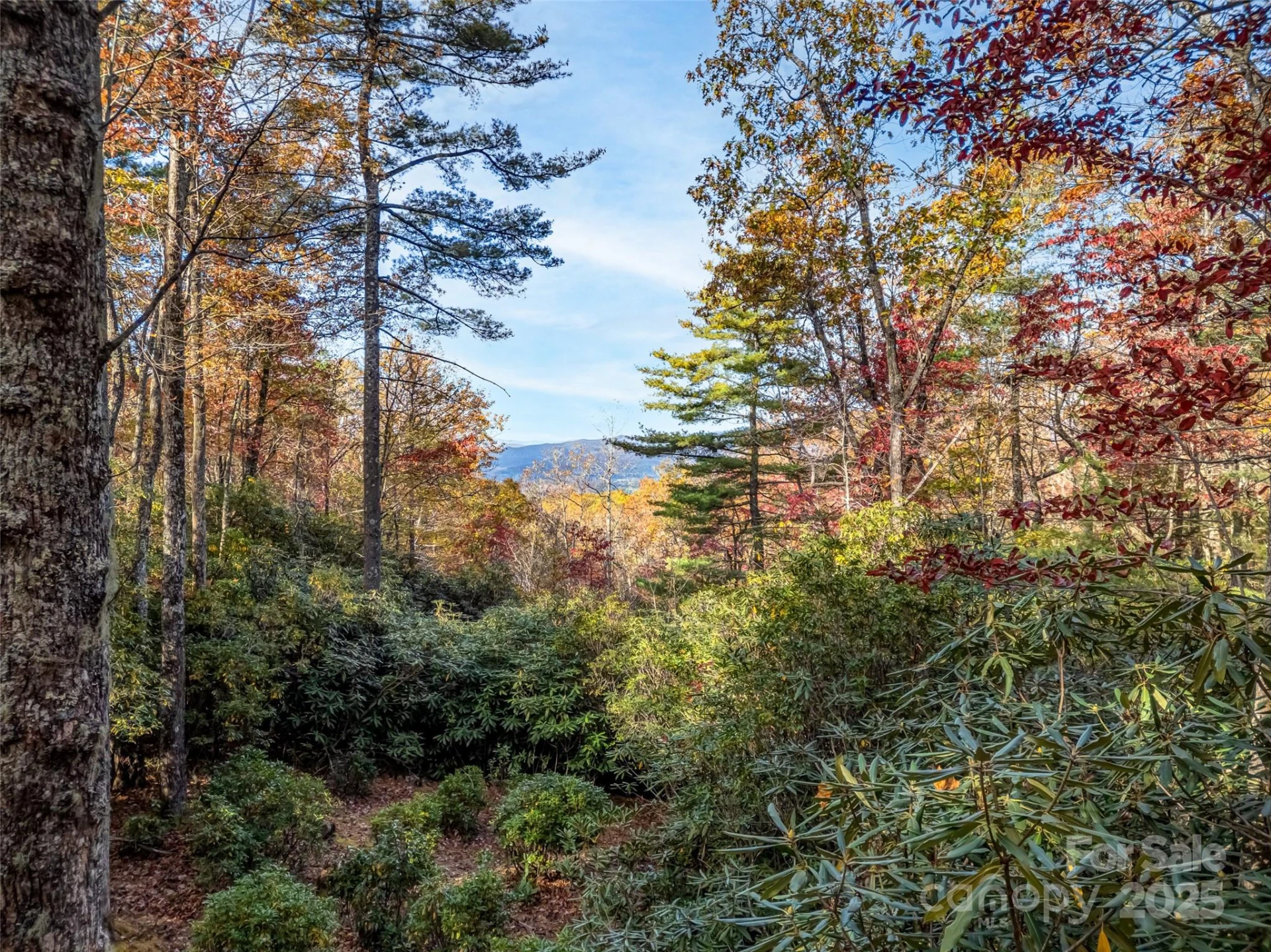 3314 Reserve Road - Photo 15