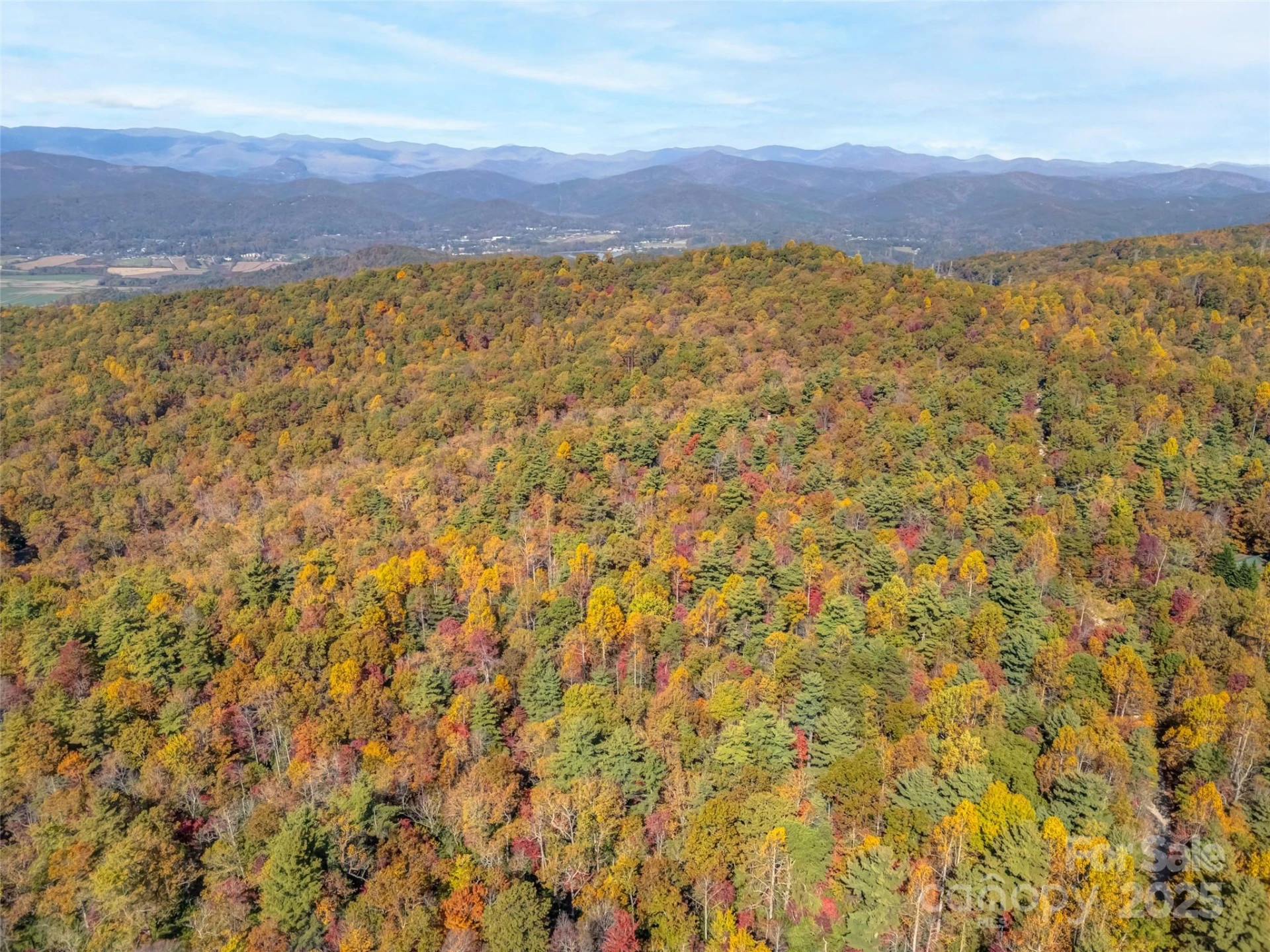 3314 Reserve Road - Photo 22