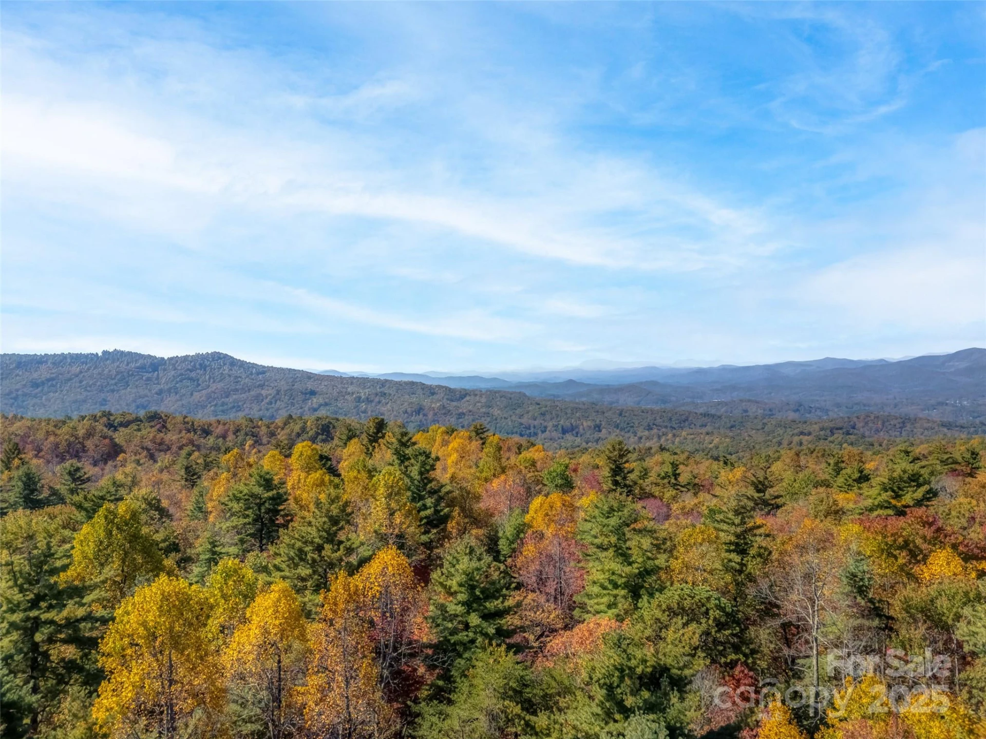 3314 Reserve Road - Photo 4