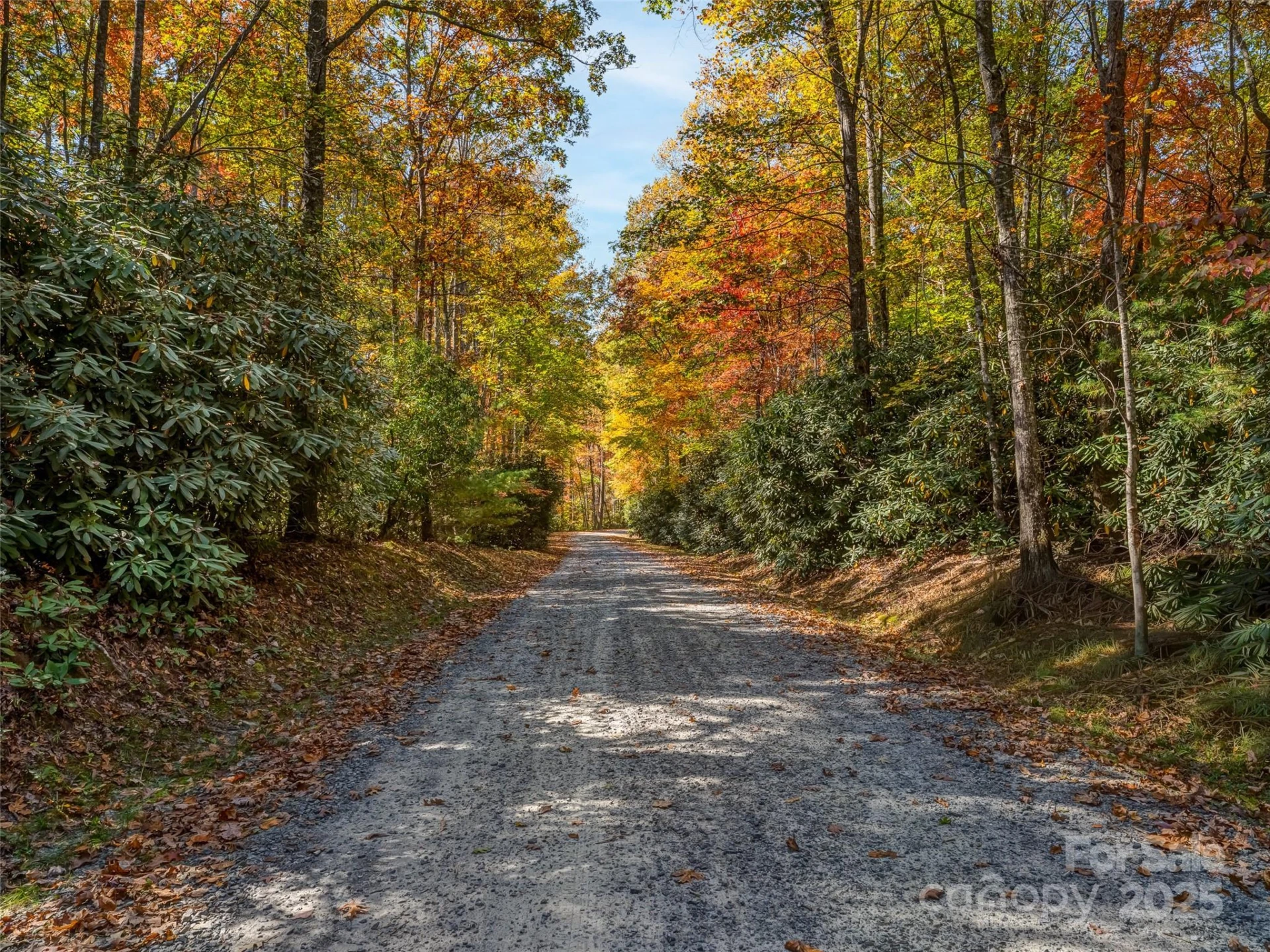 3314 Reserve Road - Photo 6