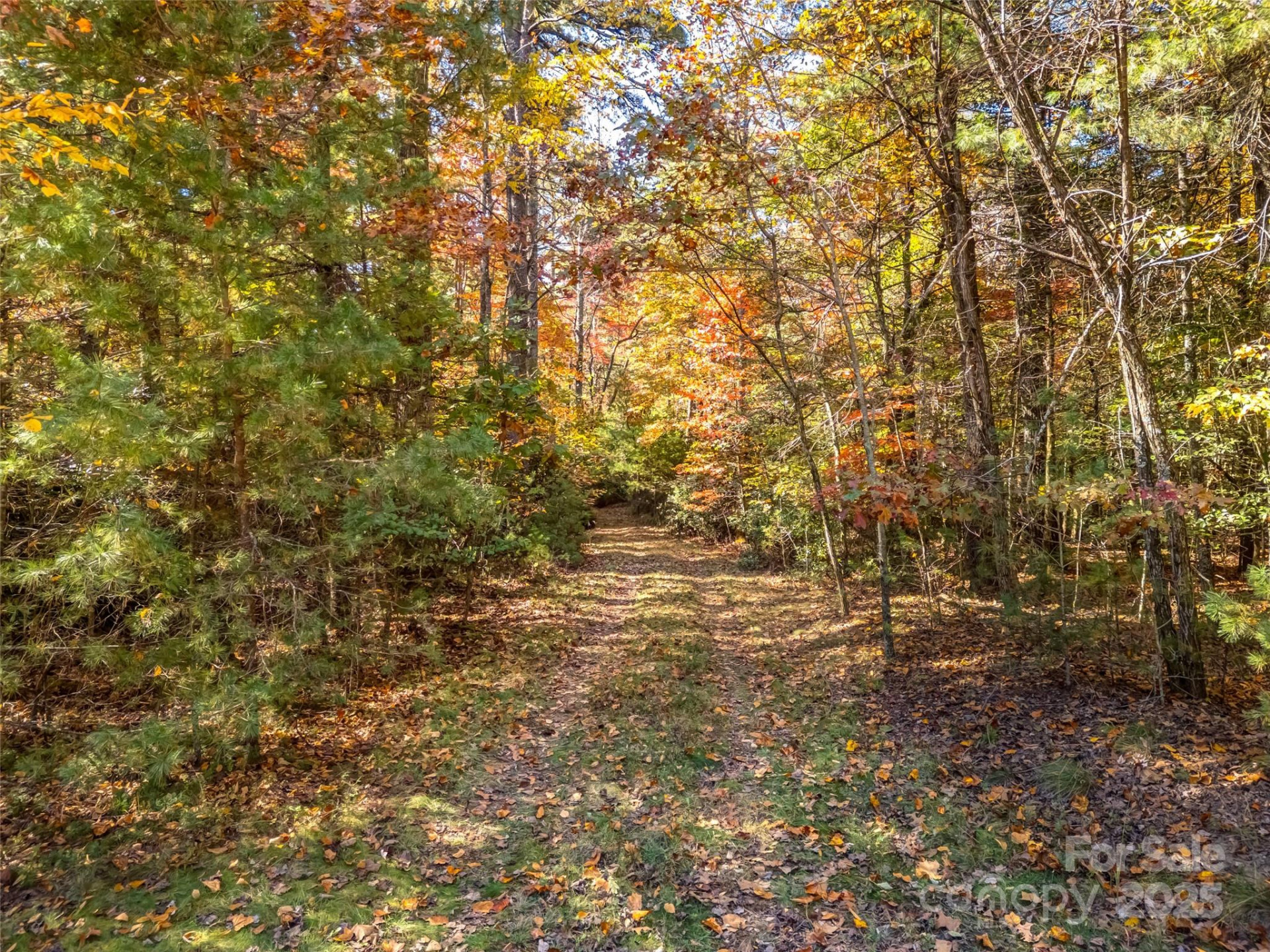 3314 Reserve Road - Photo 7