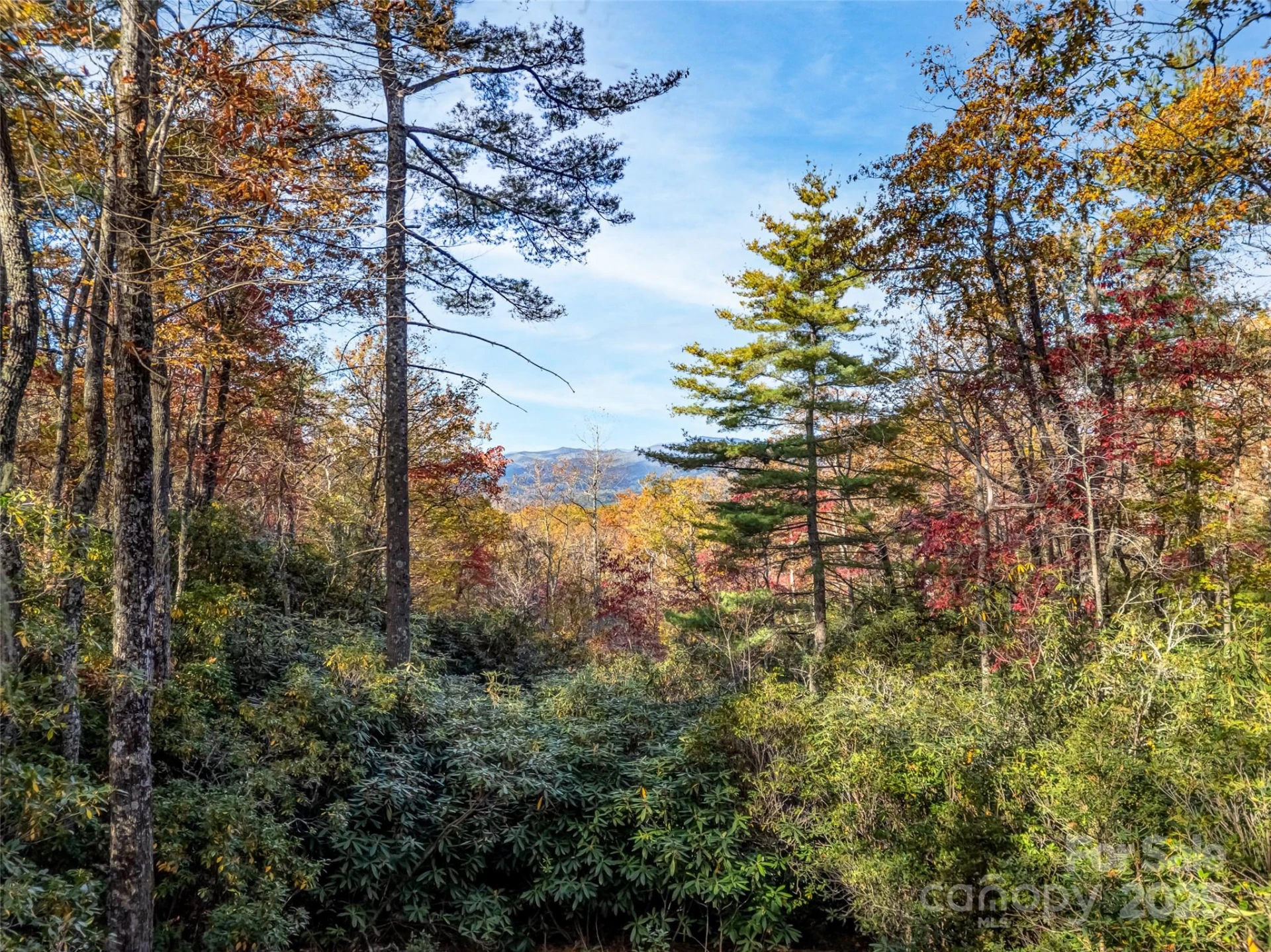 3314 Reserve Road - Photo 9