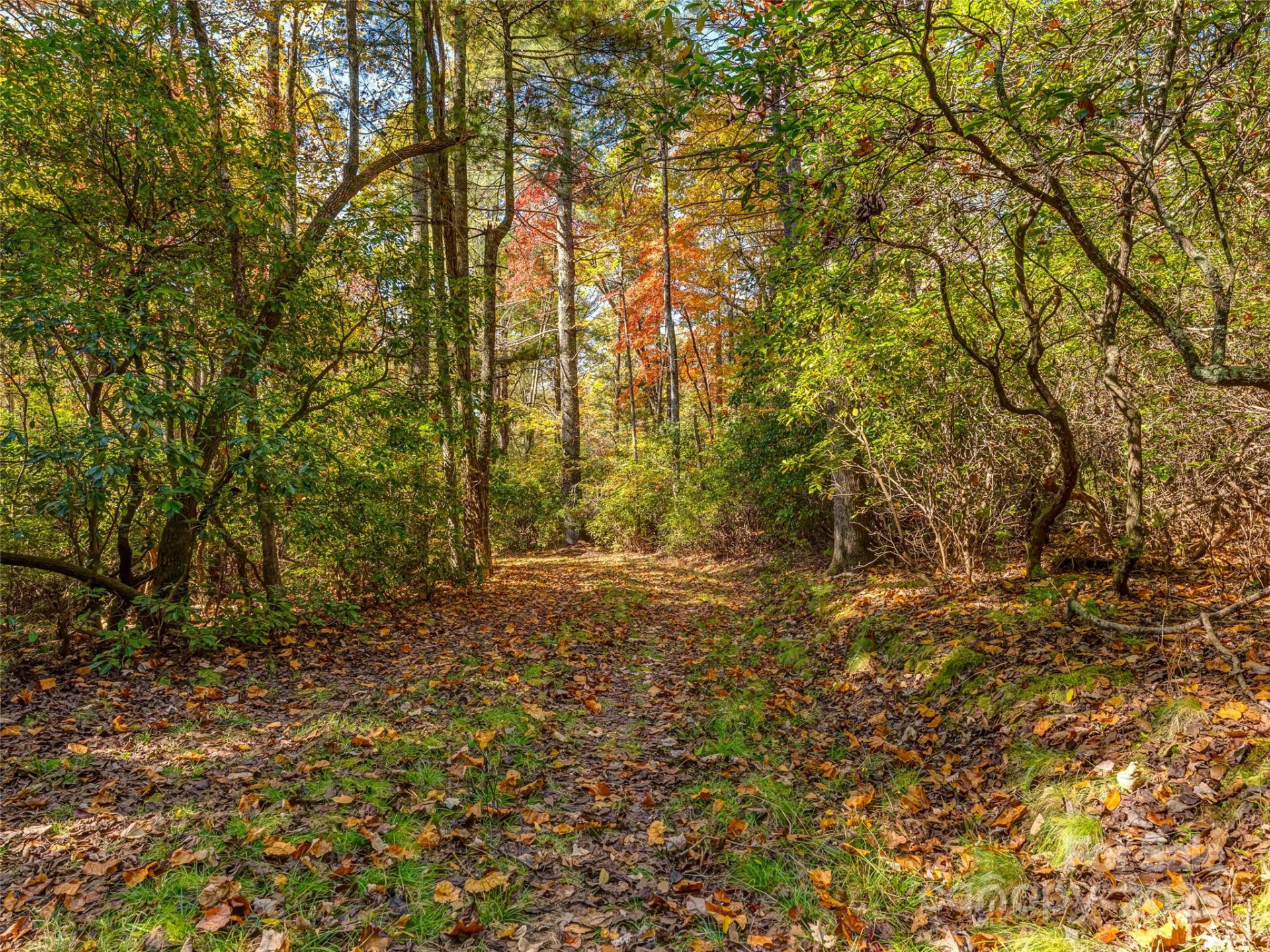 3314 Reserve Road - Photo 10