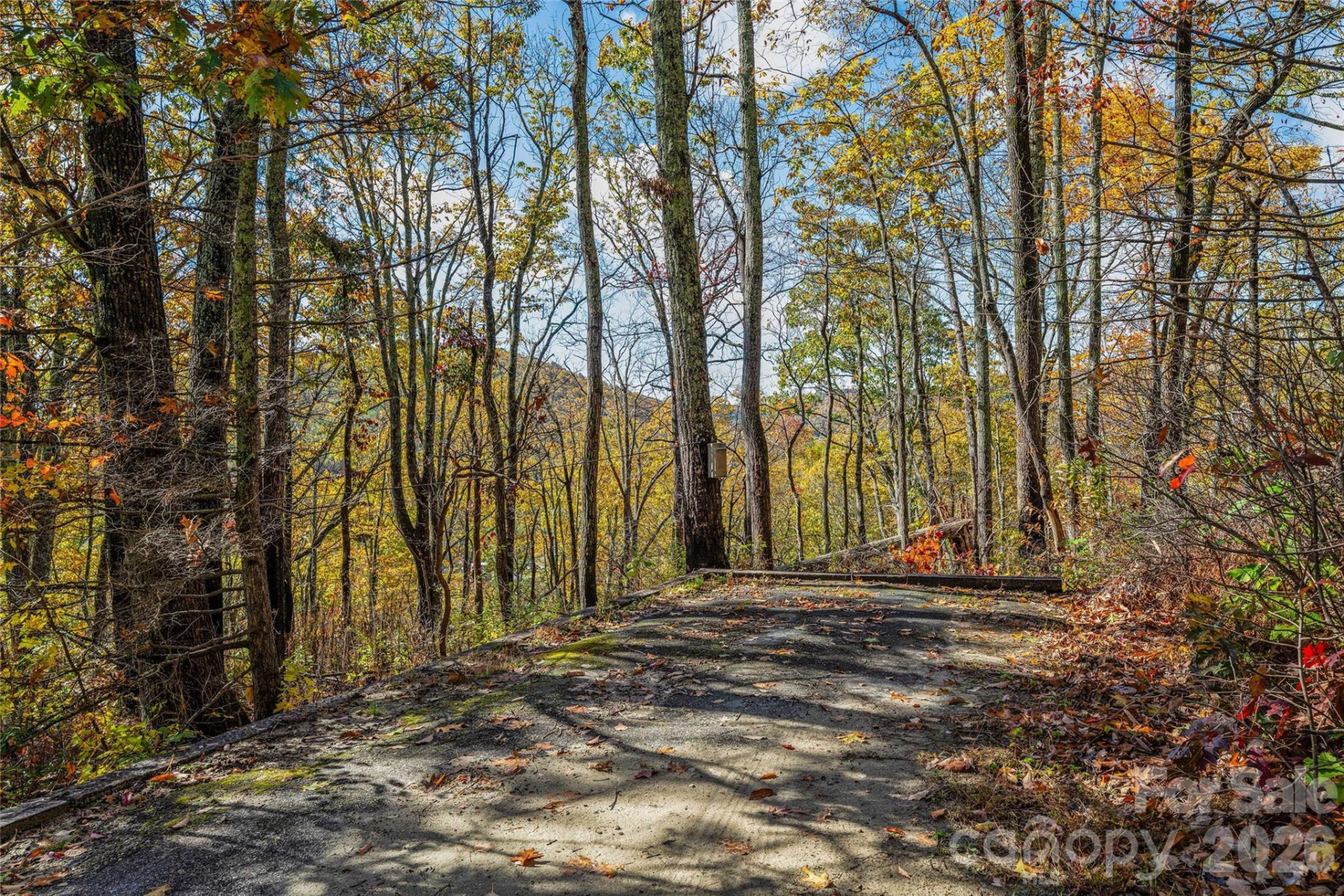 499 Poplar Drive - Photo 39