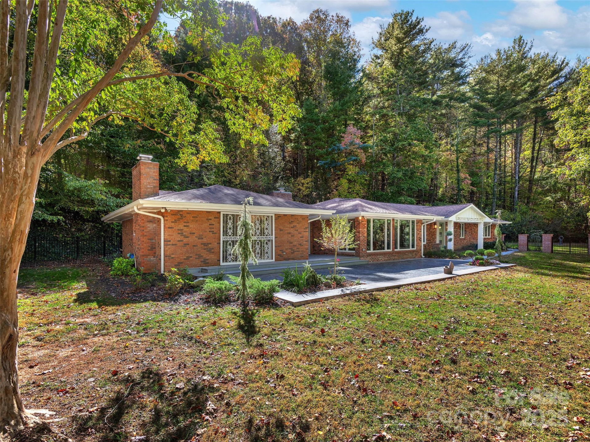 51 & 61 Rice Branch Road - Photo 2