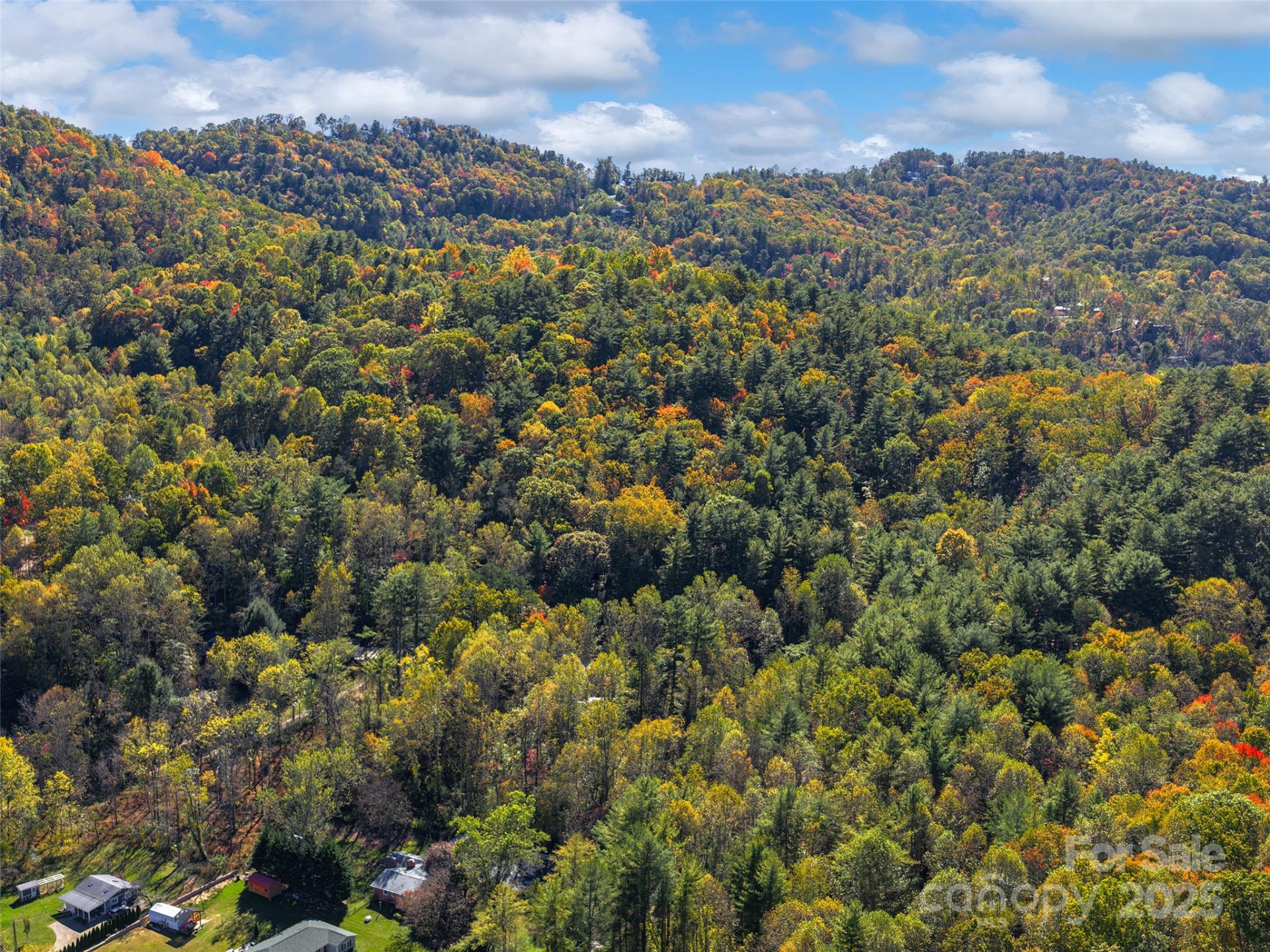 51 & 61 Rice Branch Road - Photo 38