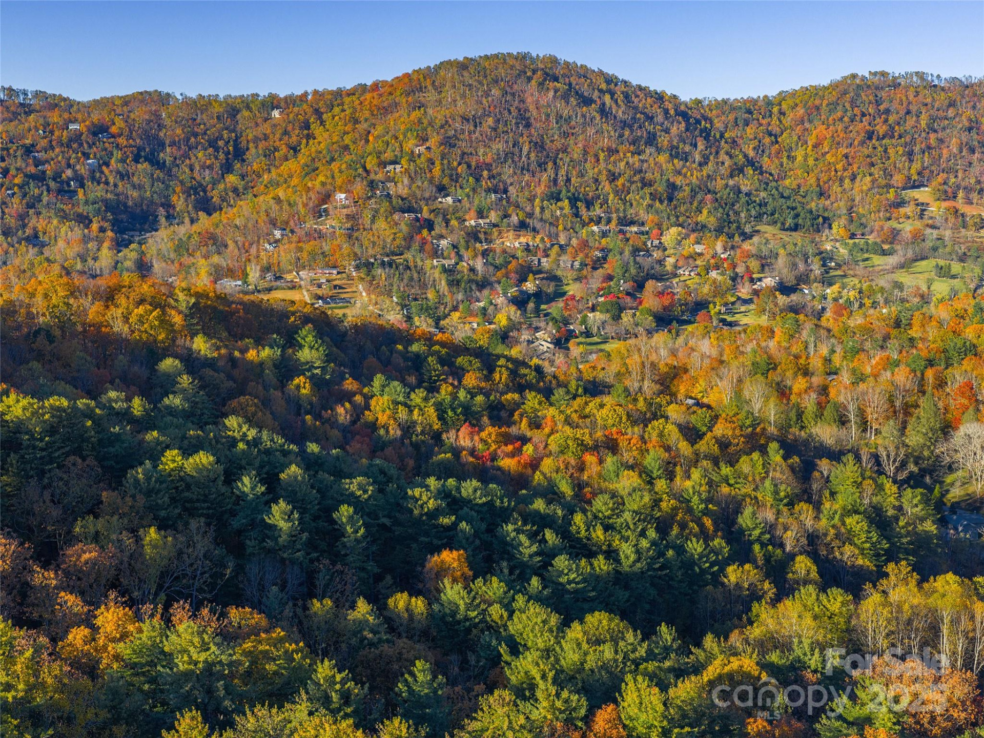 51 & 61 Rice Branch Road - Photo 41