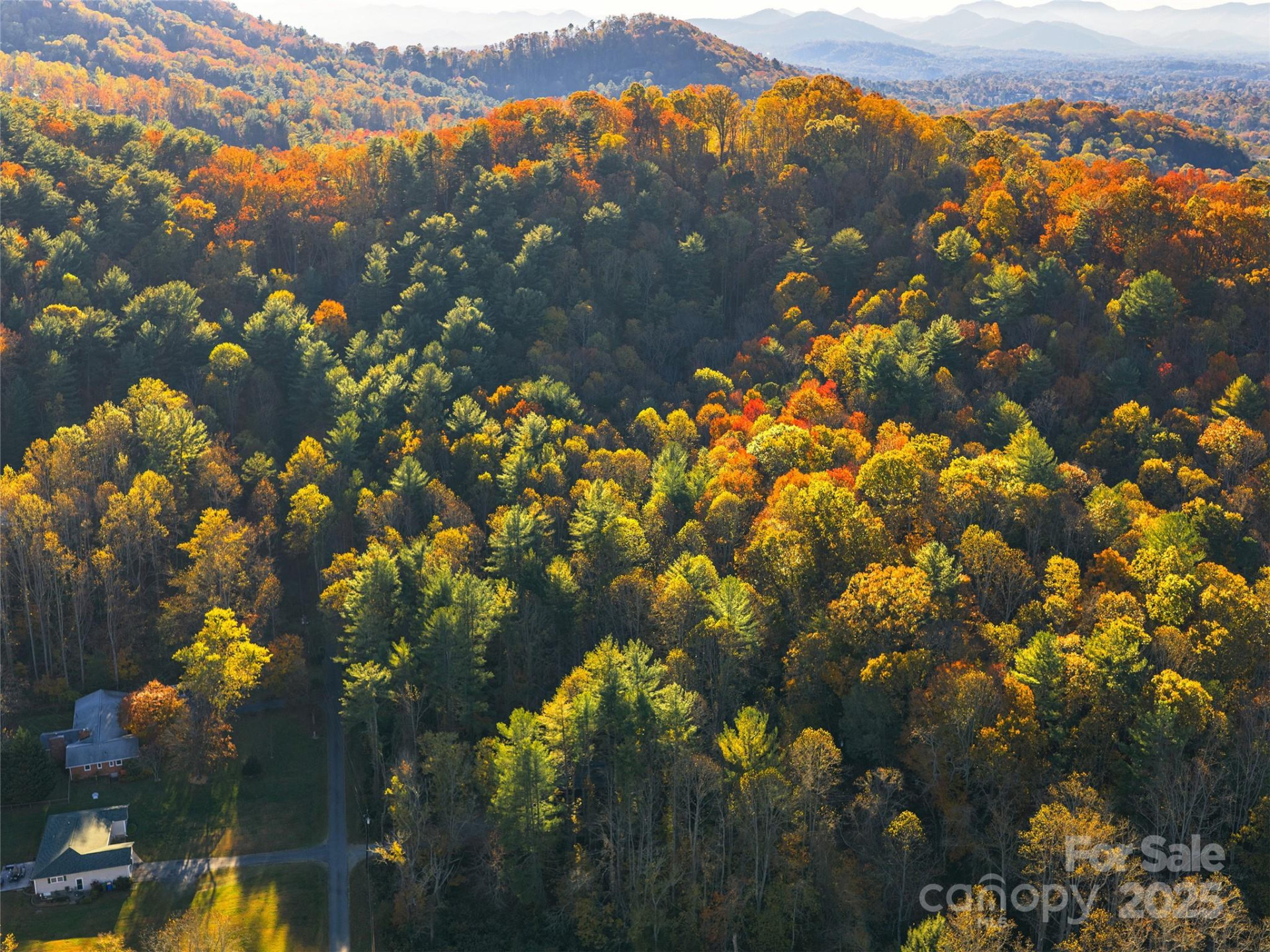 51 & 61 Rice Branch Road - Photo 44