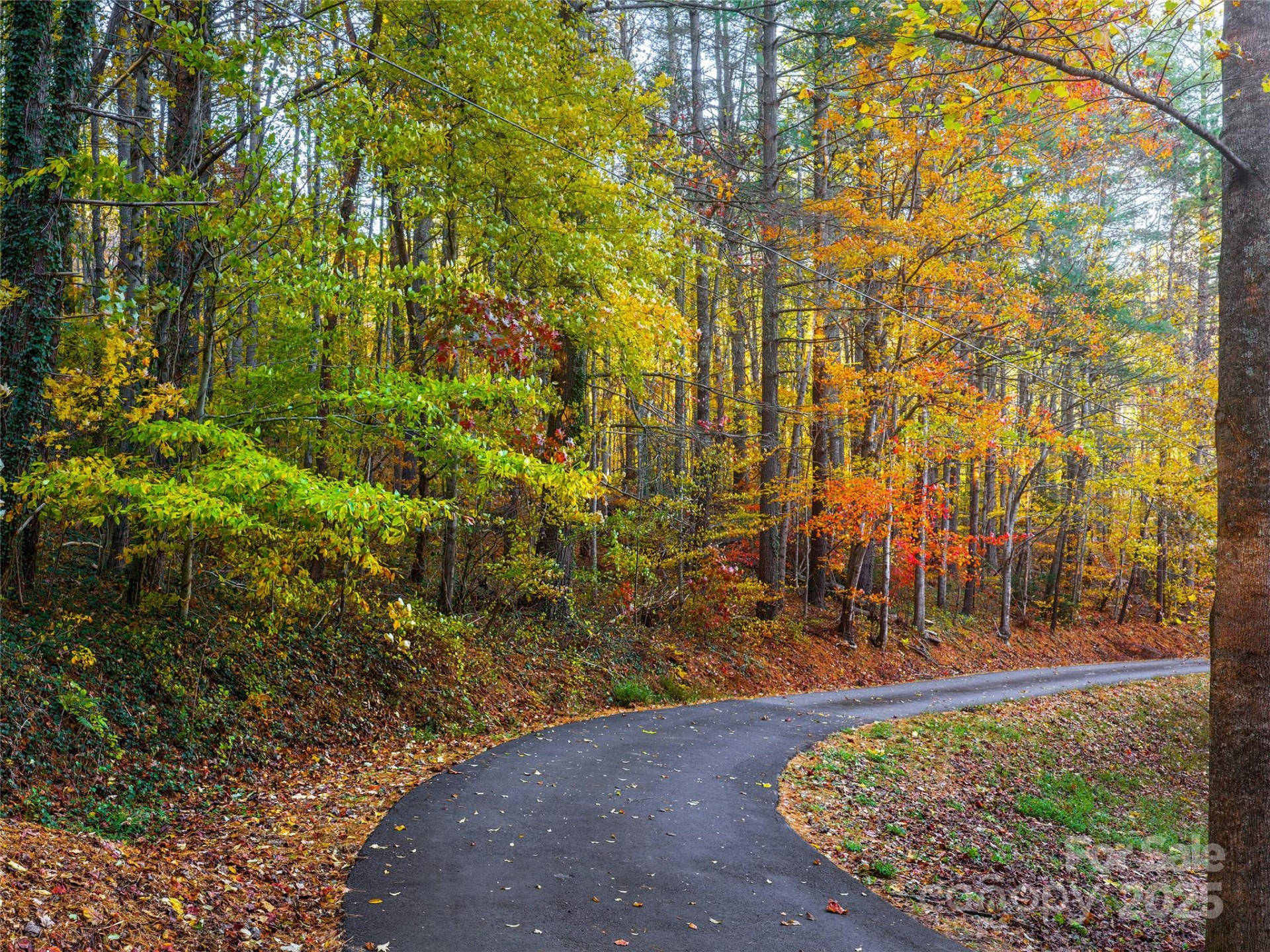 51 & 61 Rice Branch Road - Photo 45