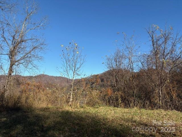 Lot 4 March Hillside Court - Photo 13