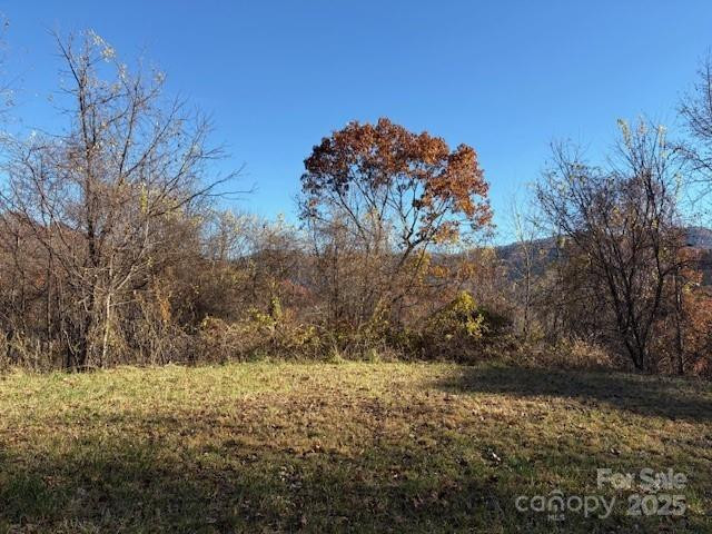 Lot 4 March Hillside Court - Photo 3