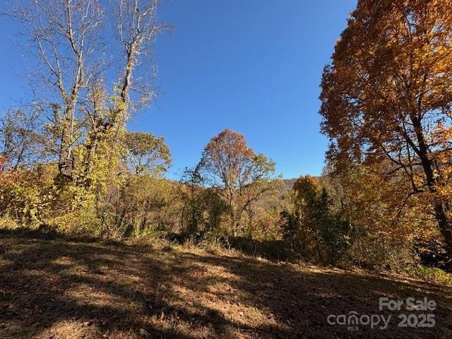 Lot 4 March Hillside Court - Photo 5