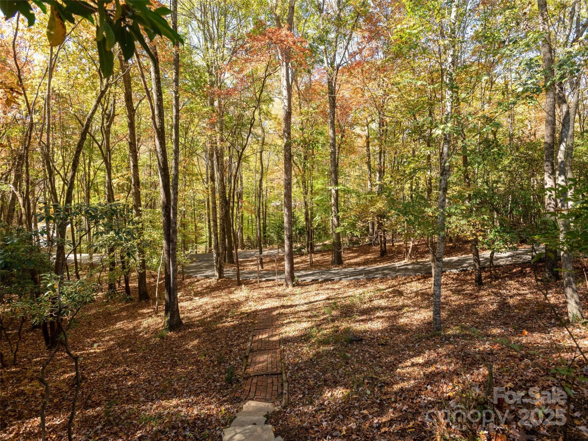 1320 Campbell Drive - Photo 44