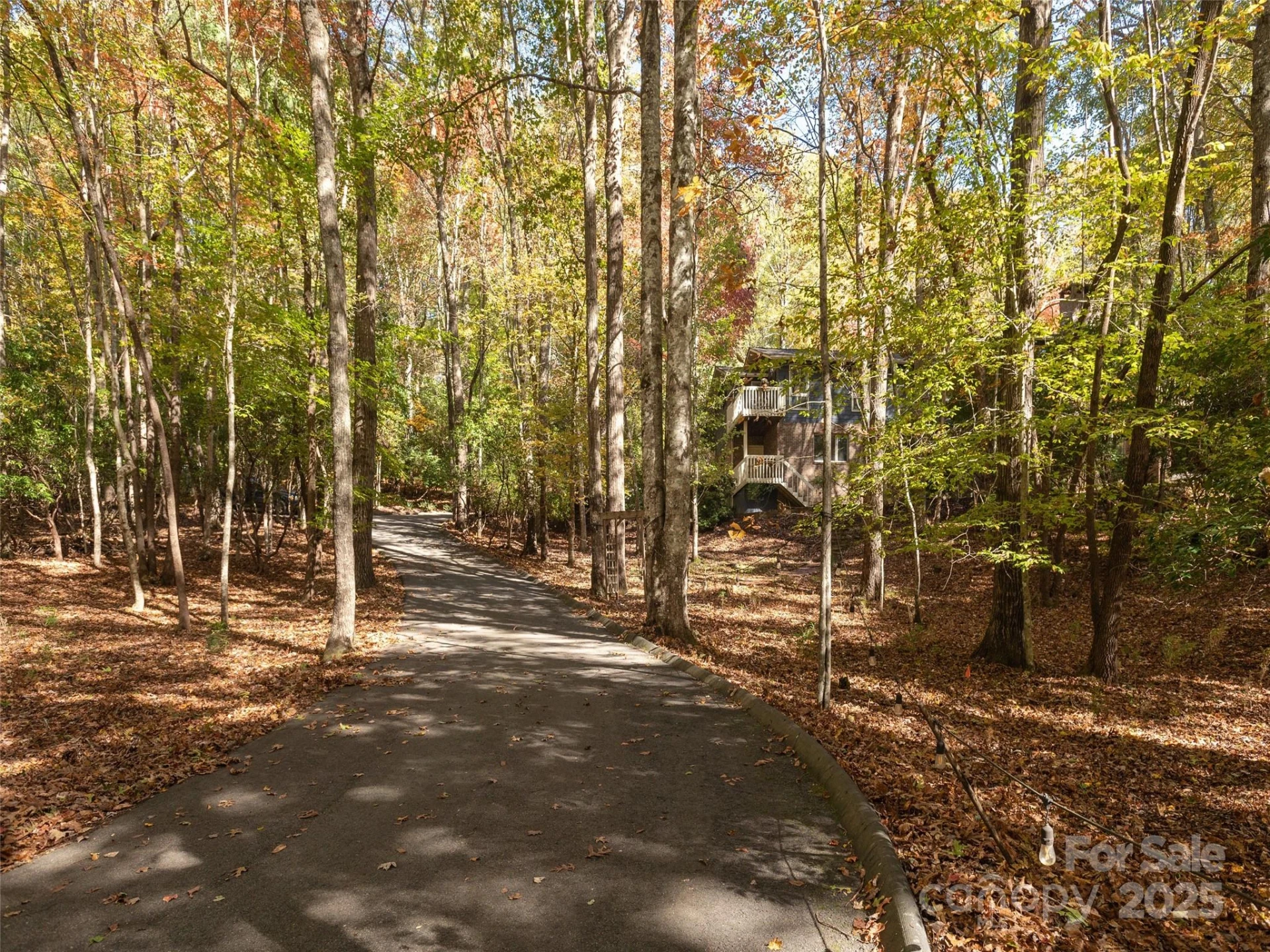 1320 Campbell Drive - Photo 47