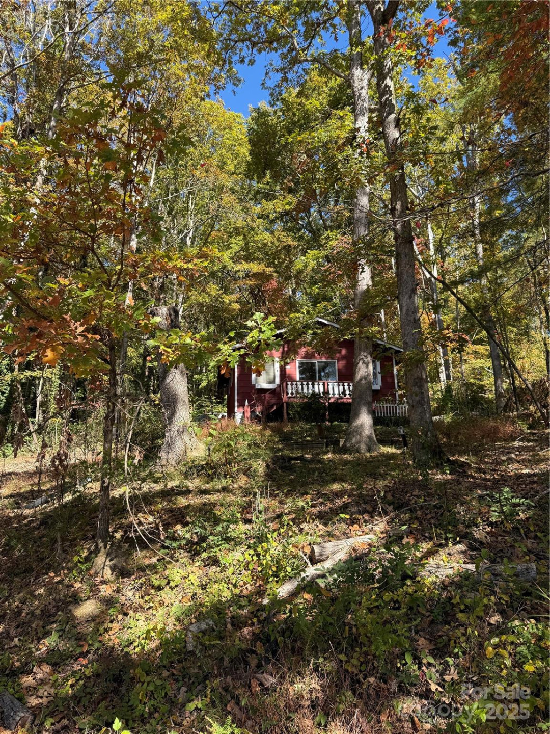 202 Lyndhurst Drive - Photo 2