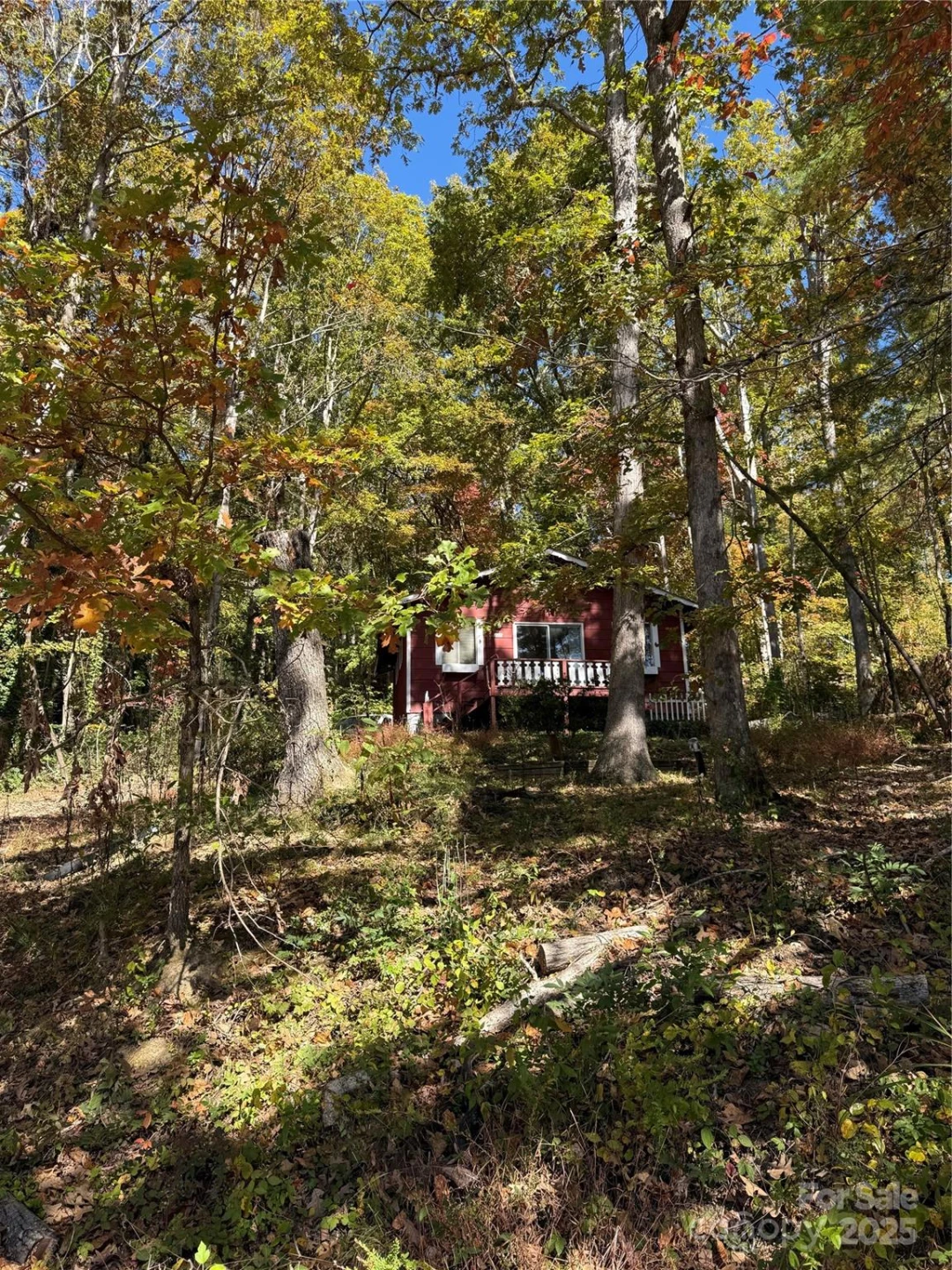 202 Lyndhurst Drive - Photo 2