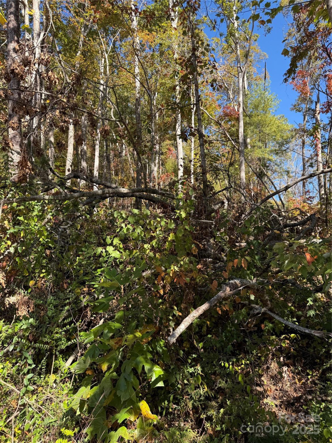 202 Lyndhurst Drive - Photo 3