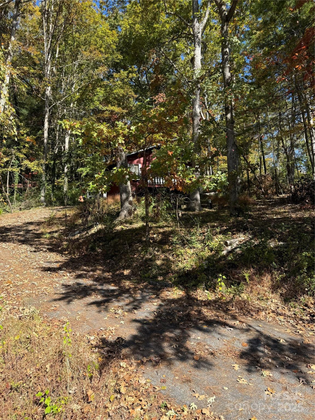 202 Lyndhurst Drive - Photo 4