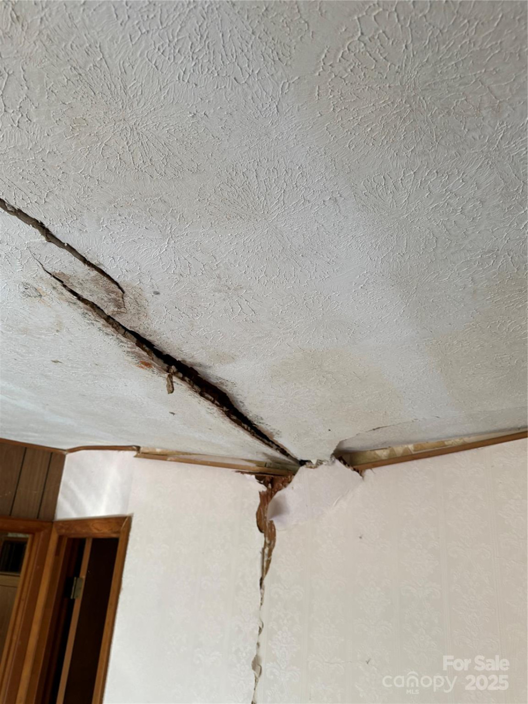 202 Lyndhurst Drive - Photo 6