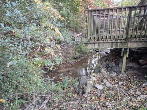 644 Morgan Branch Road - Photo 6