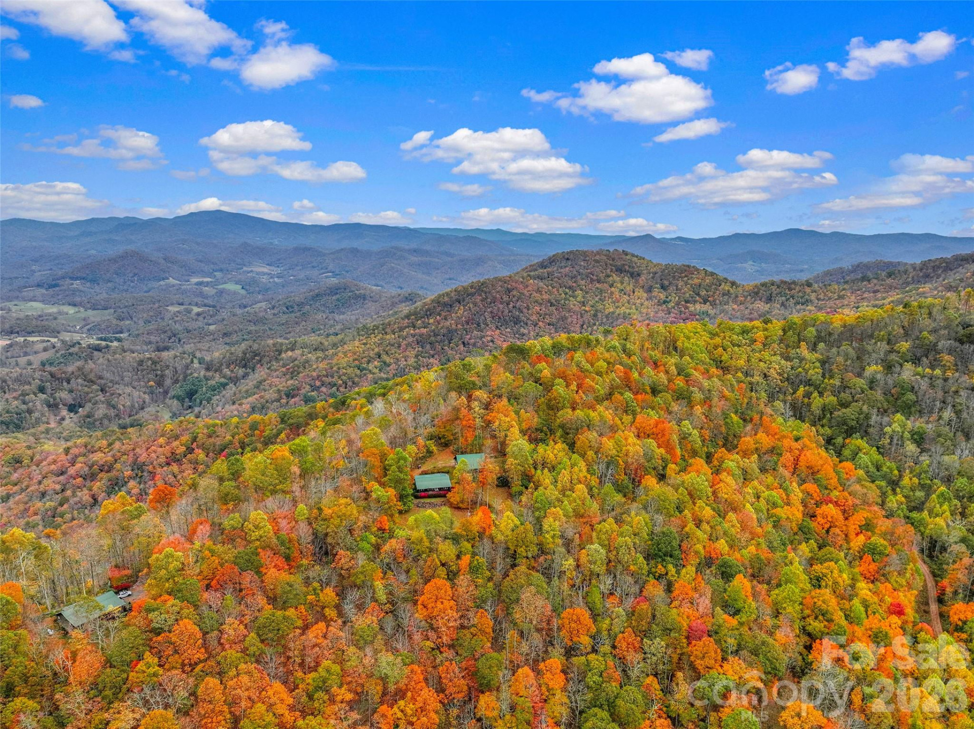 1447/1421 Ayers Mountain Road - Photo 5